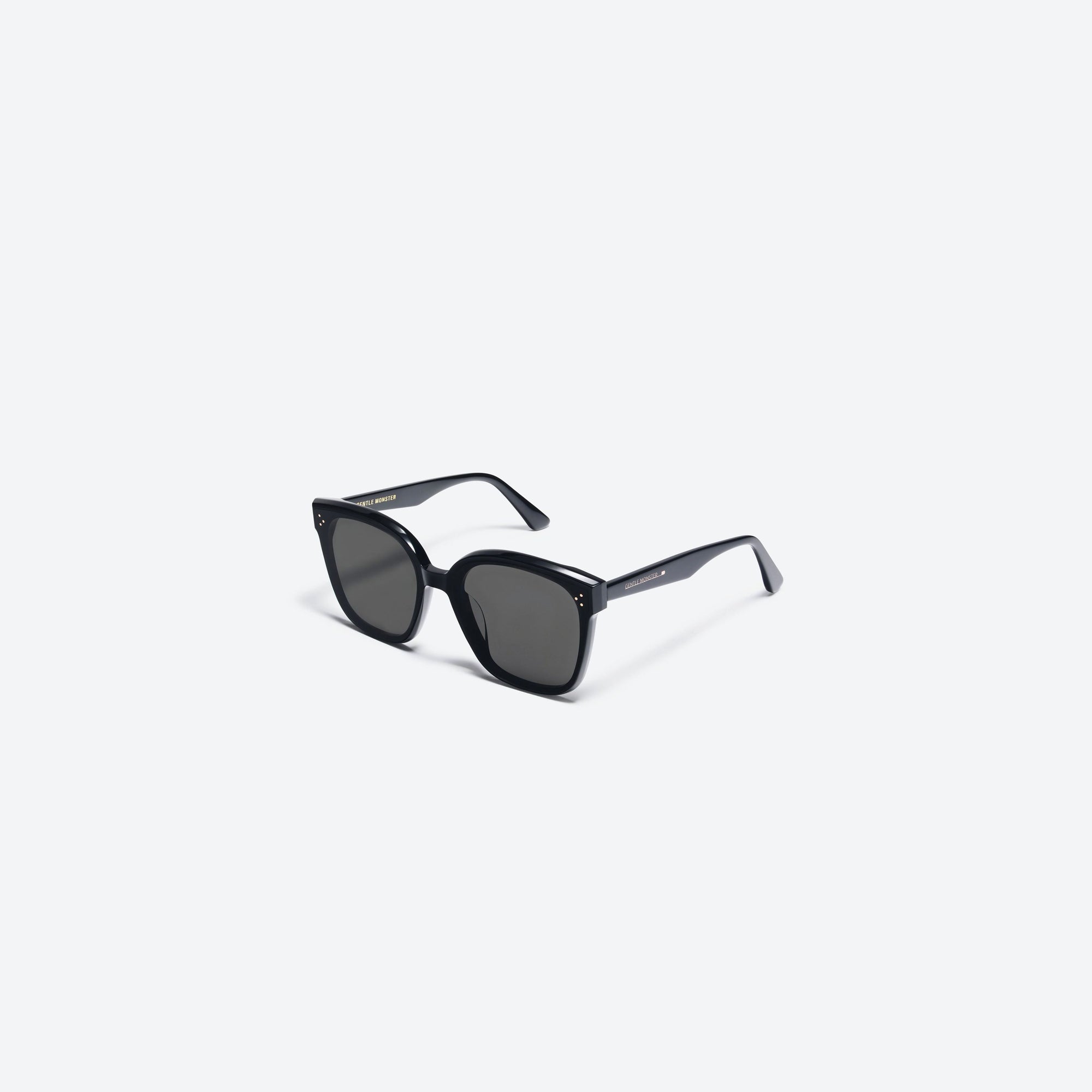 45-degree view of Gentle Monster Rick 01 Black Acetate framed Square sunglasses.