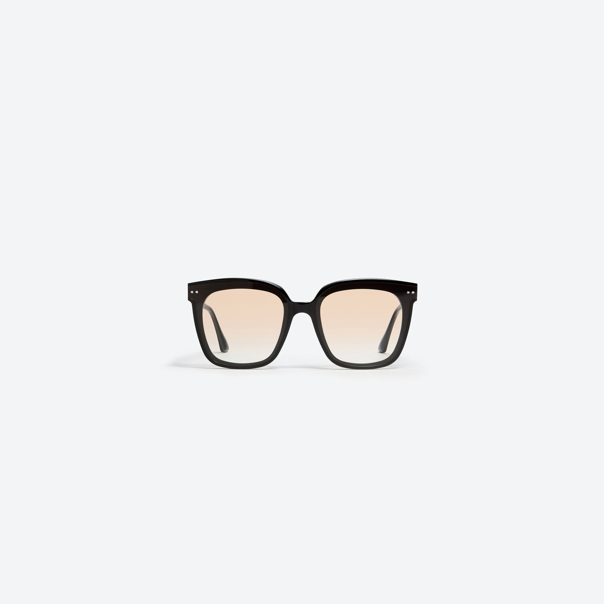 A front view of Gentle Monster Lo Cell 01(OG) Black Acetate framed Square sunglasses.
