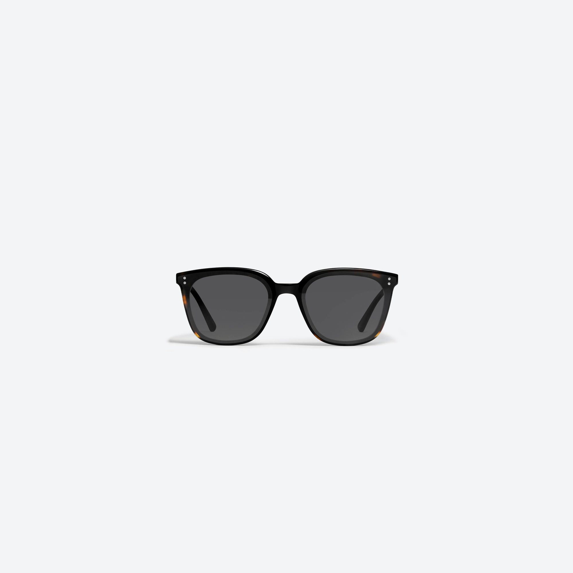 A front view of Gentle Monster Queen T2 Tortoise Acetate framed Square sunglasses.