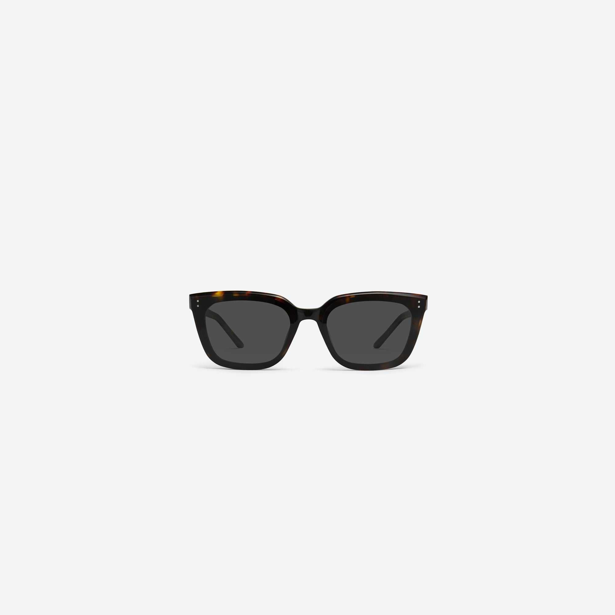 A front view of Gentle Monster Tote T1 Tortoise Acetate framed Square sunglasses.