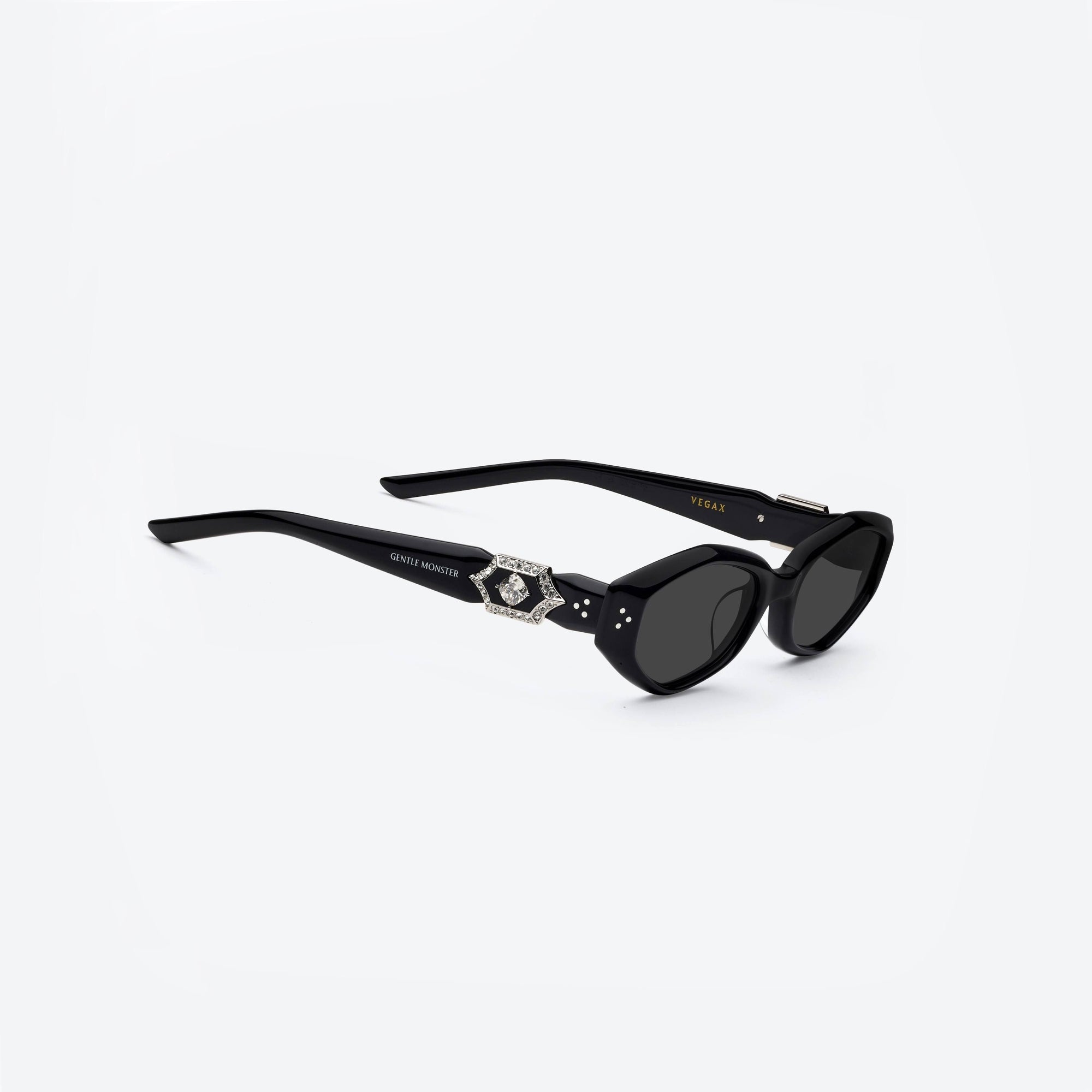 45-degree detailed view of Gentle Monster Vegax 01 Black Acetate framed Oval sunglasses.
