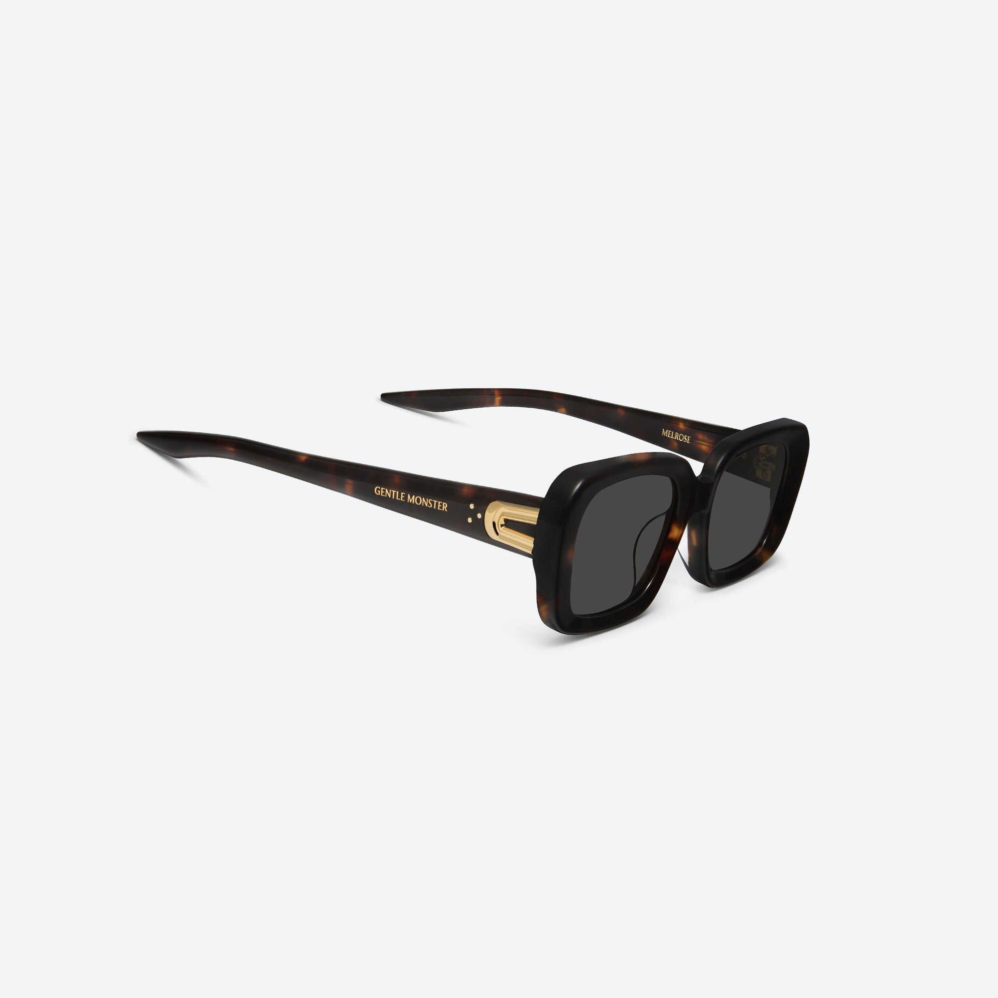 45-degree detailed view of Gentle Monster Melrose T1 Tortoise Acetate framed Square sunglasses.