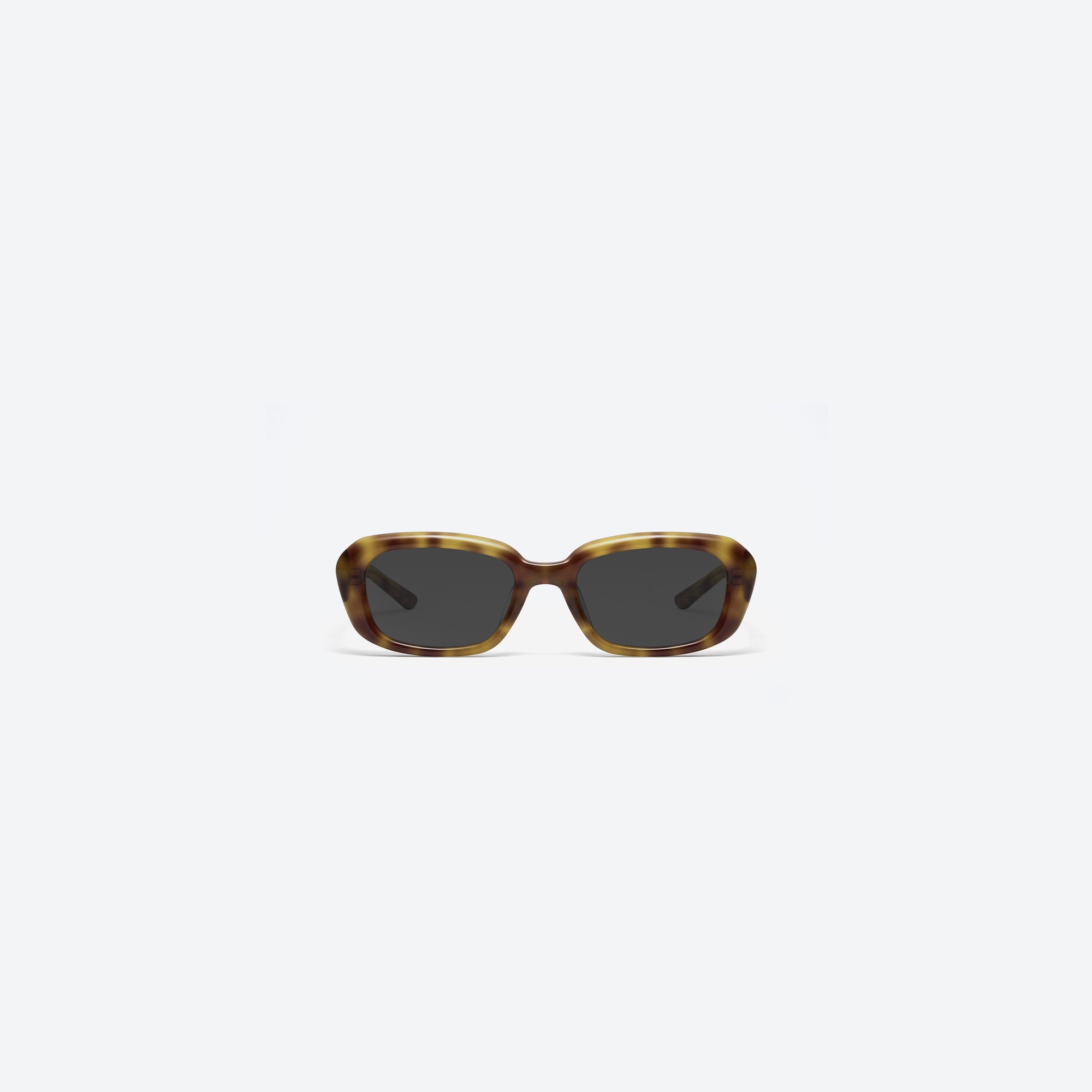 A front view of Gentle Monster Maison Margiela - MM207 T6 Tortoise Acetate framed Square sunglasses.