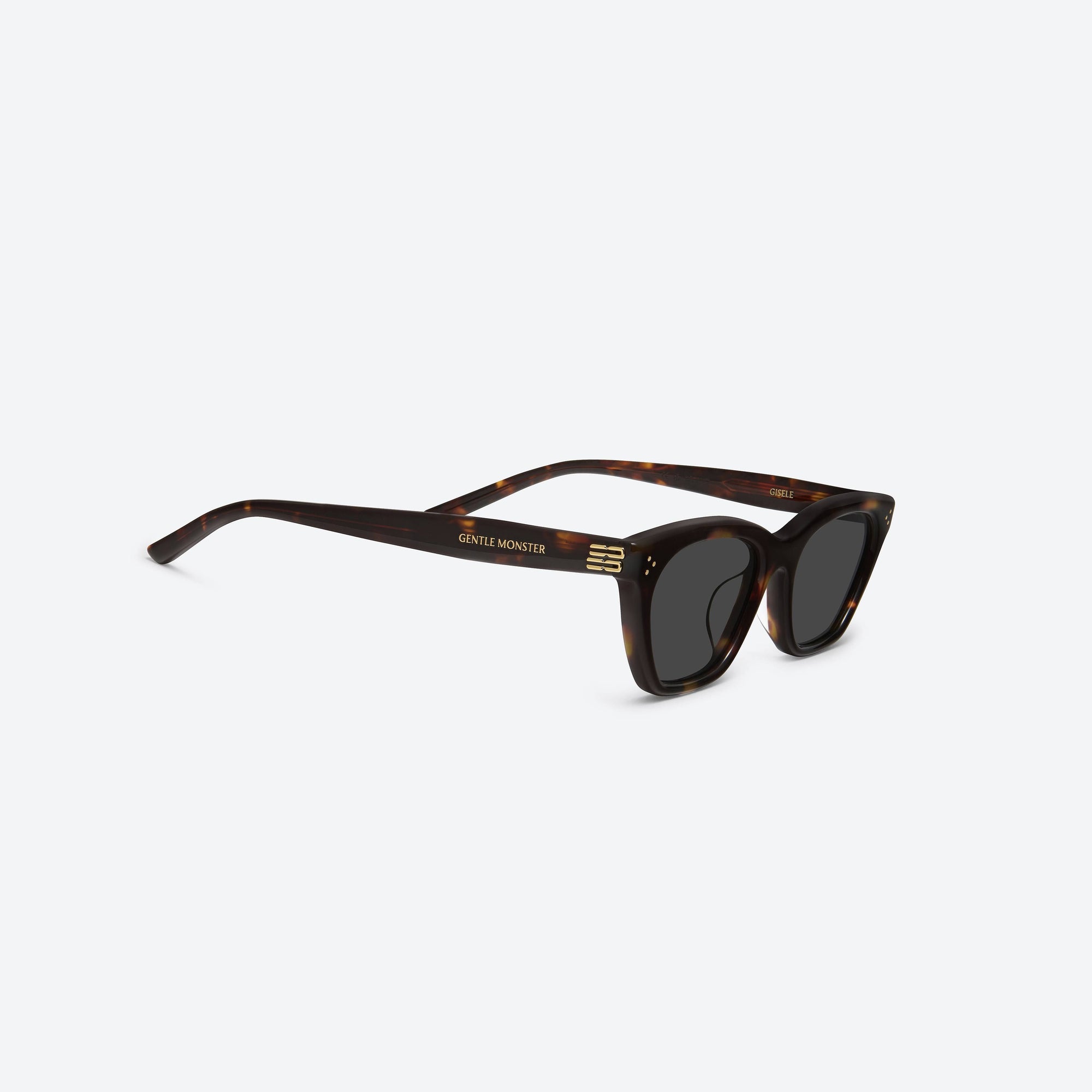 45-degree detailed view of Gentle Monster Gisele T1 Tortoise Acetate framed Cat-eye sunglasses.
