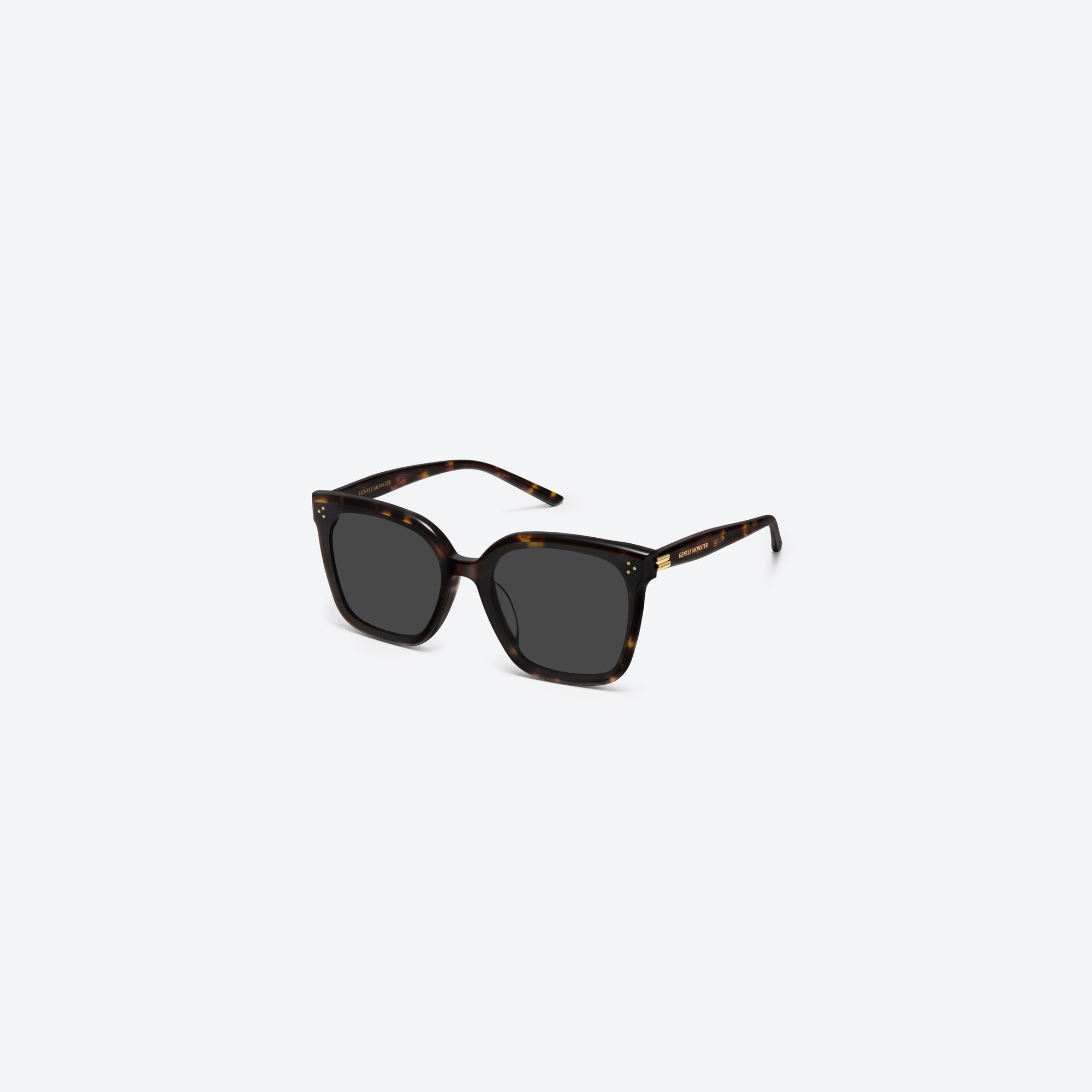45-degree view of Gentle Monster New Her T1 Tortoise Acetate framed Square sunglasses.