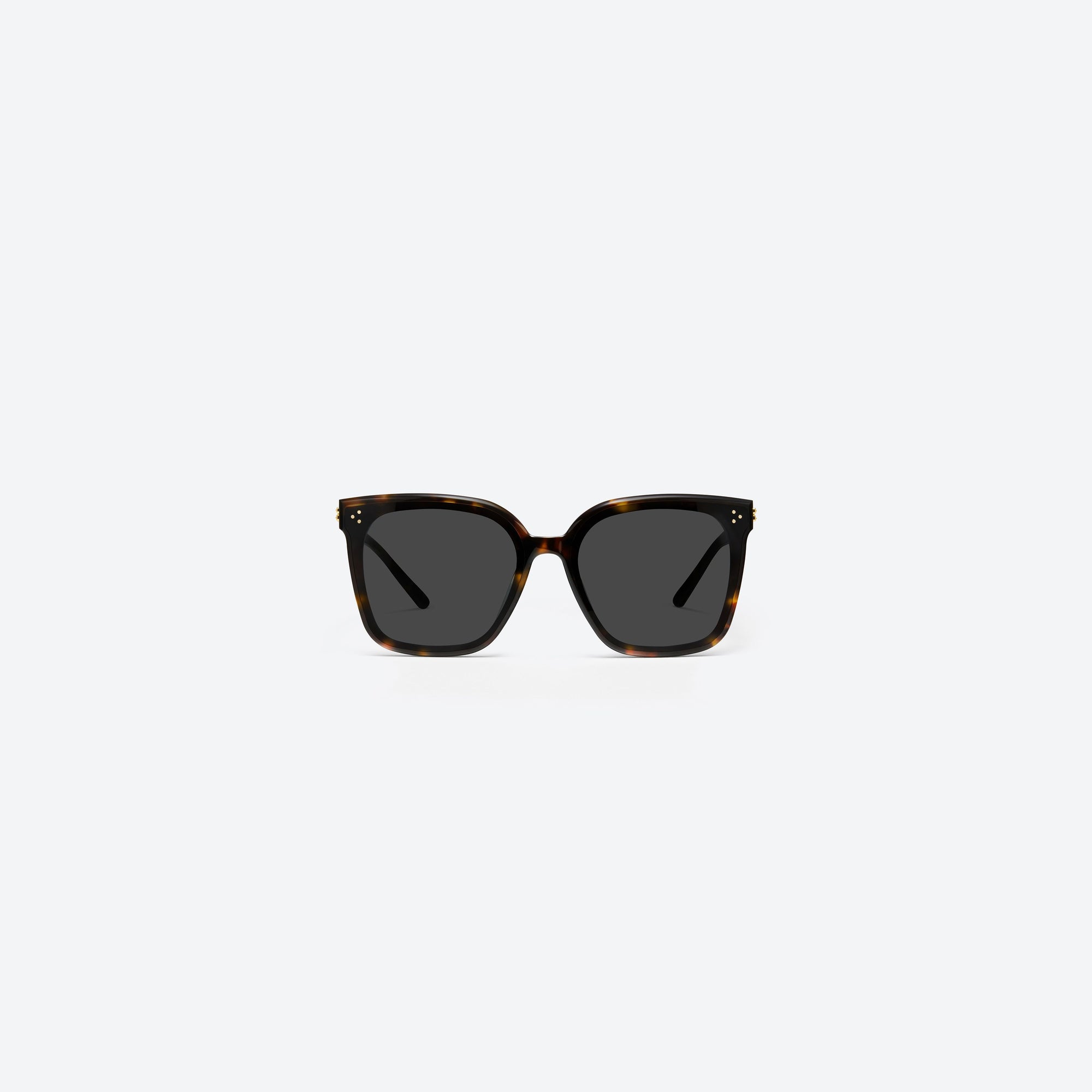 A front view of Gentle Monster New Her T1 Tortoise Acetate framed Square sunglasses.