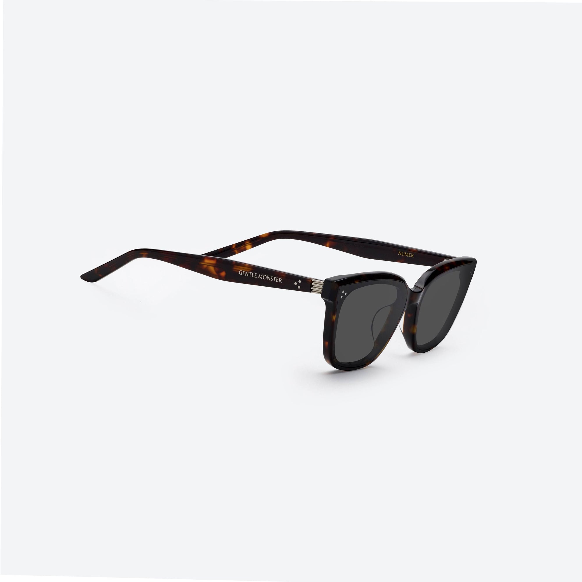 45-degree detailed view of Gentle Monster Numer T1 Tortoise Acetate framed Square sunglasses.