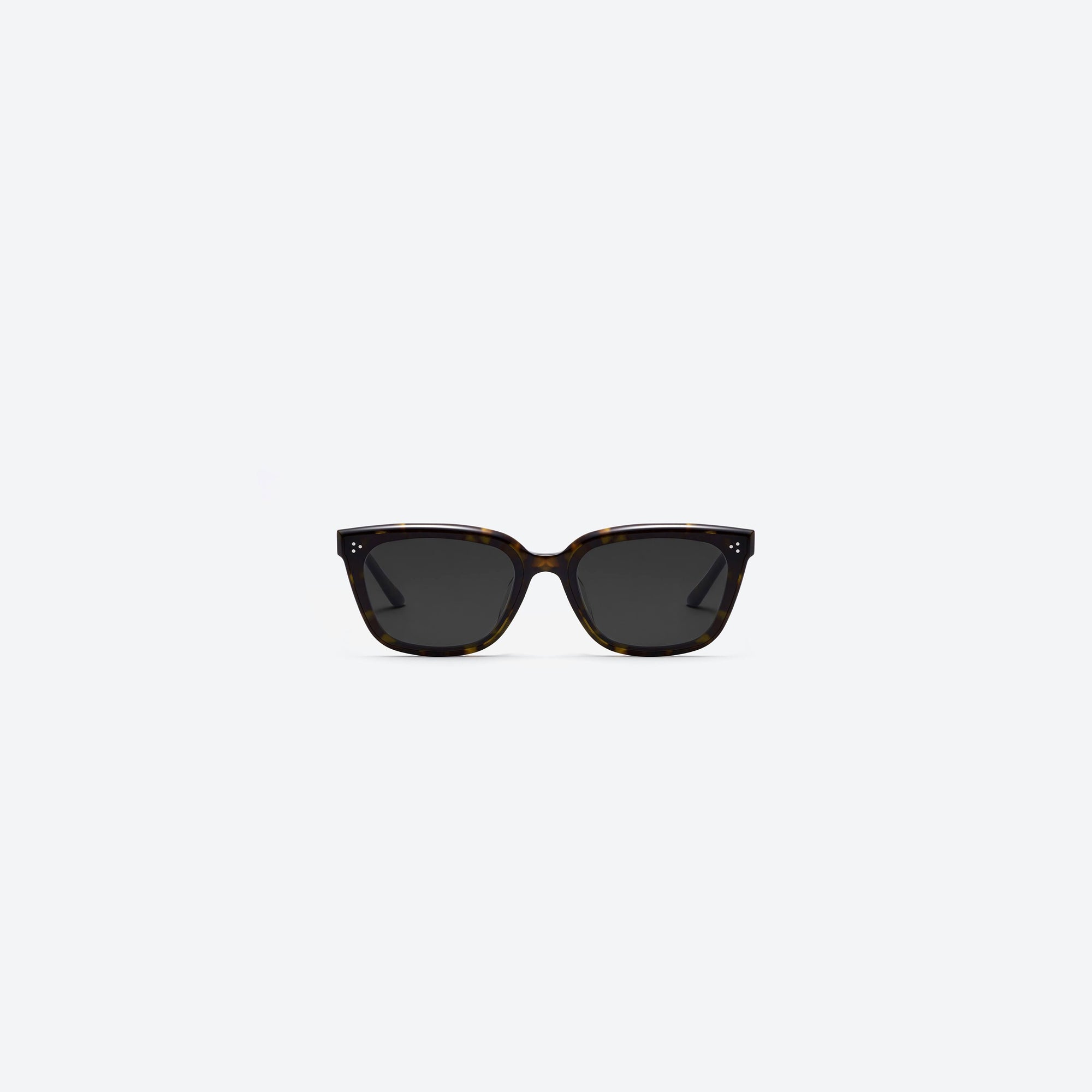 A front view of Gentle Monster Numer T1 Tortoise Acetate framed Square sunglasses.