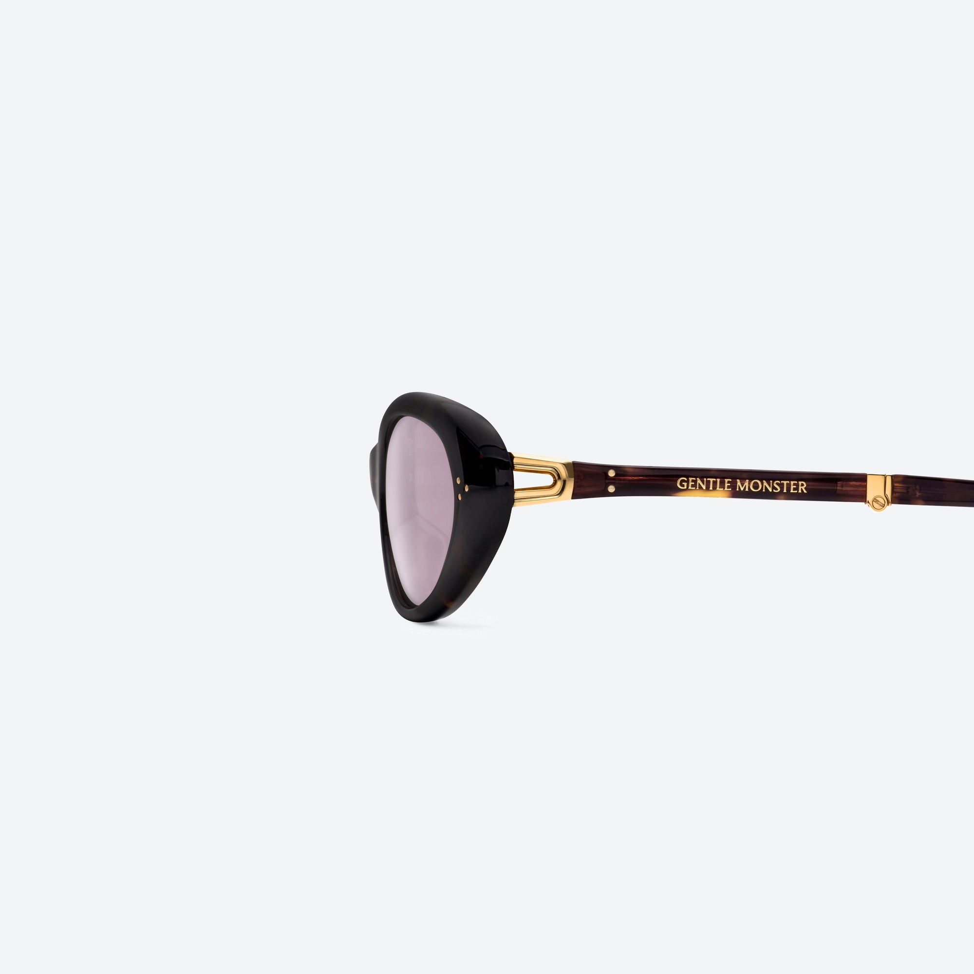 A detailed left view of Gentle Monster Lolang T1 Tortoise Acetate framed Oval sunglasses.