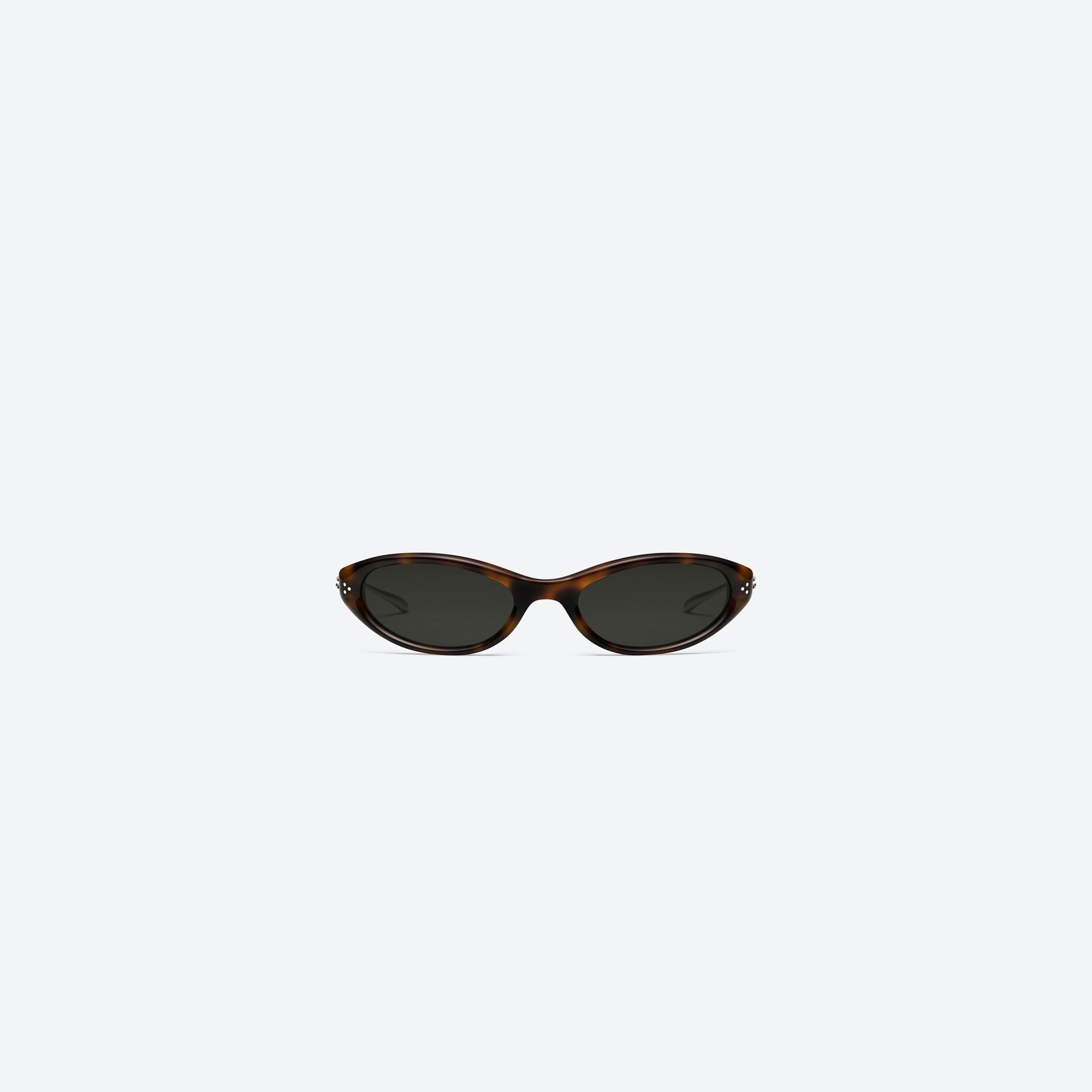 A front view of Gentle Monster Crepe L2 Tortoise Mixed framed Cat-eye sunglasses.