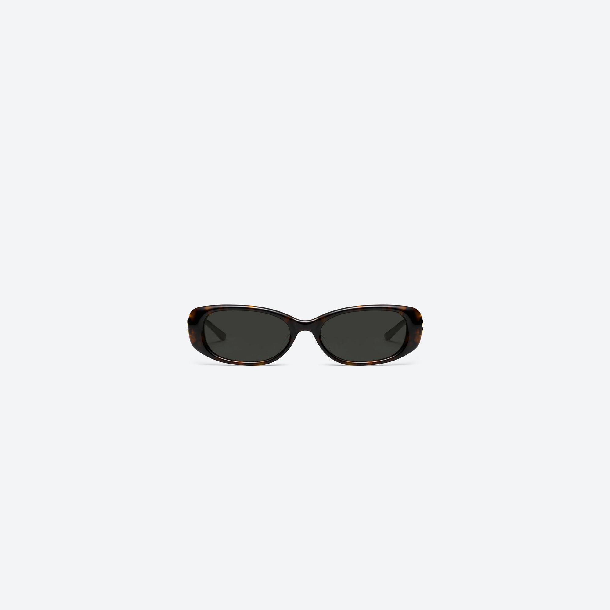 A front view of Gentle Monster Dust Musk T1 Tortoise Acetate framed Square sunglasses.