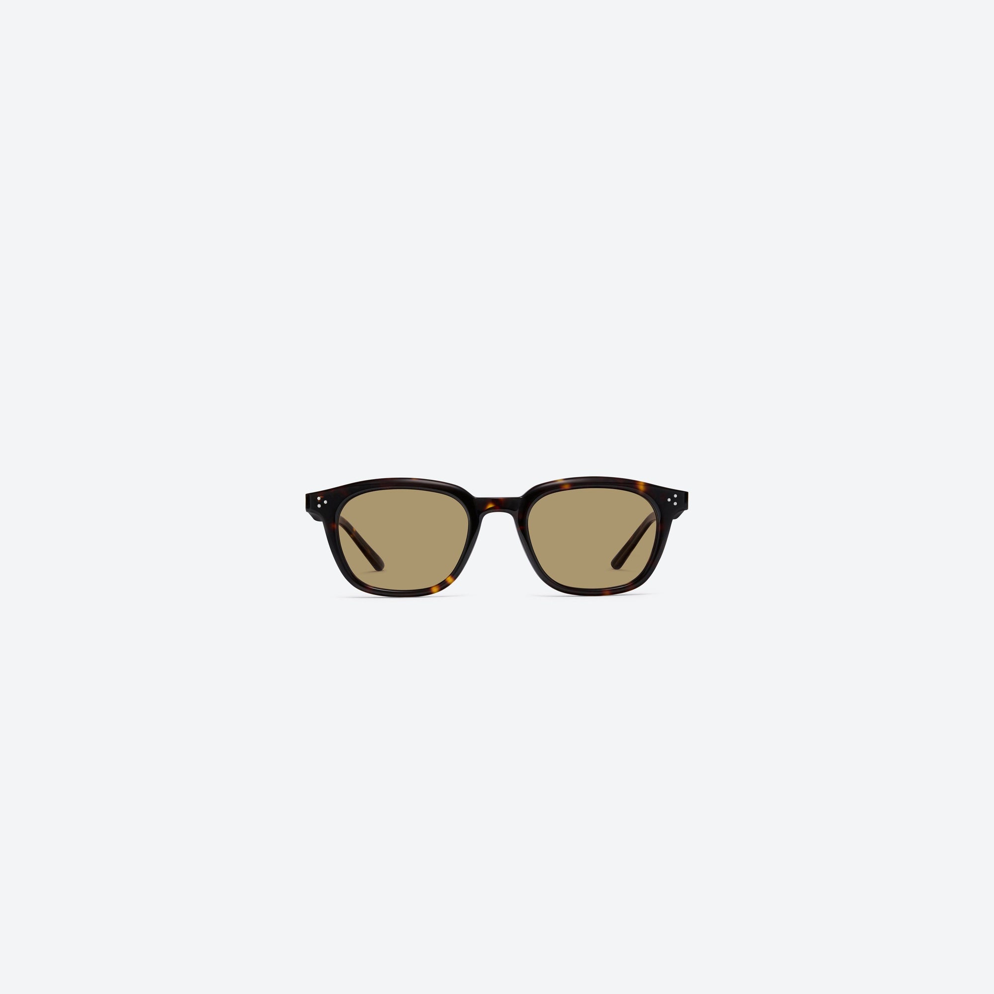 A front view of Gentle Monster Noho T9 Tortoise Acetate framed Round sunglasses.