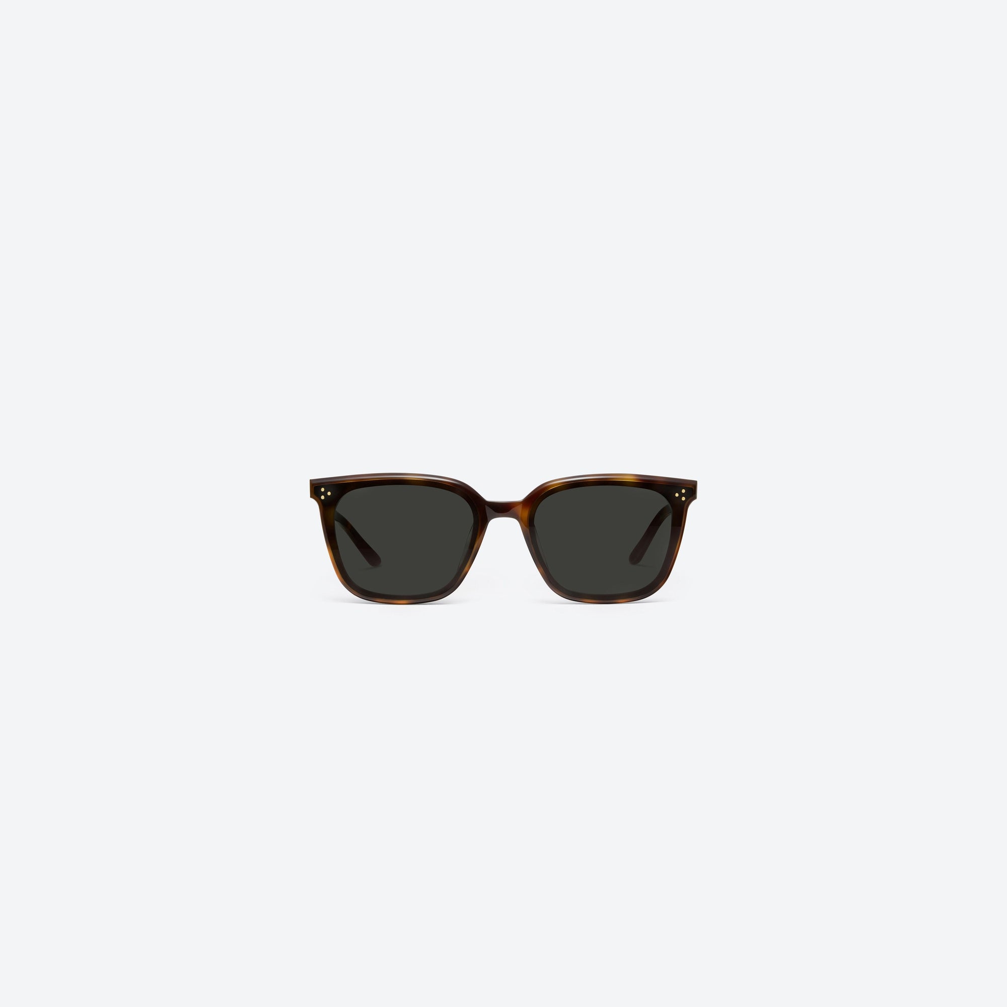 A front view of Gentle Monster Lo Lou L2 Tortoise Acetate framed Square sunglasses.