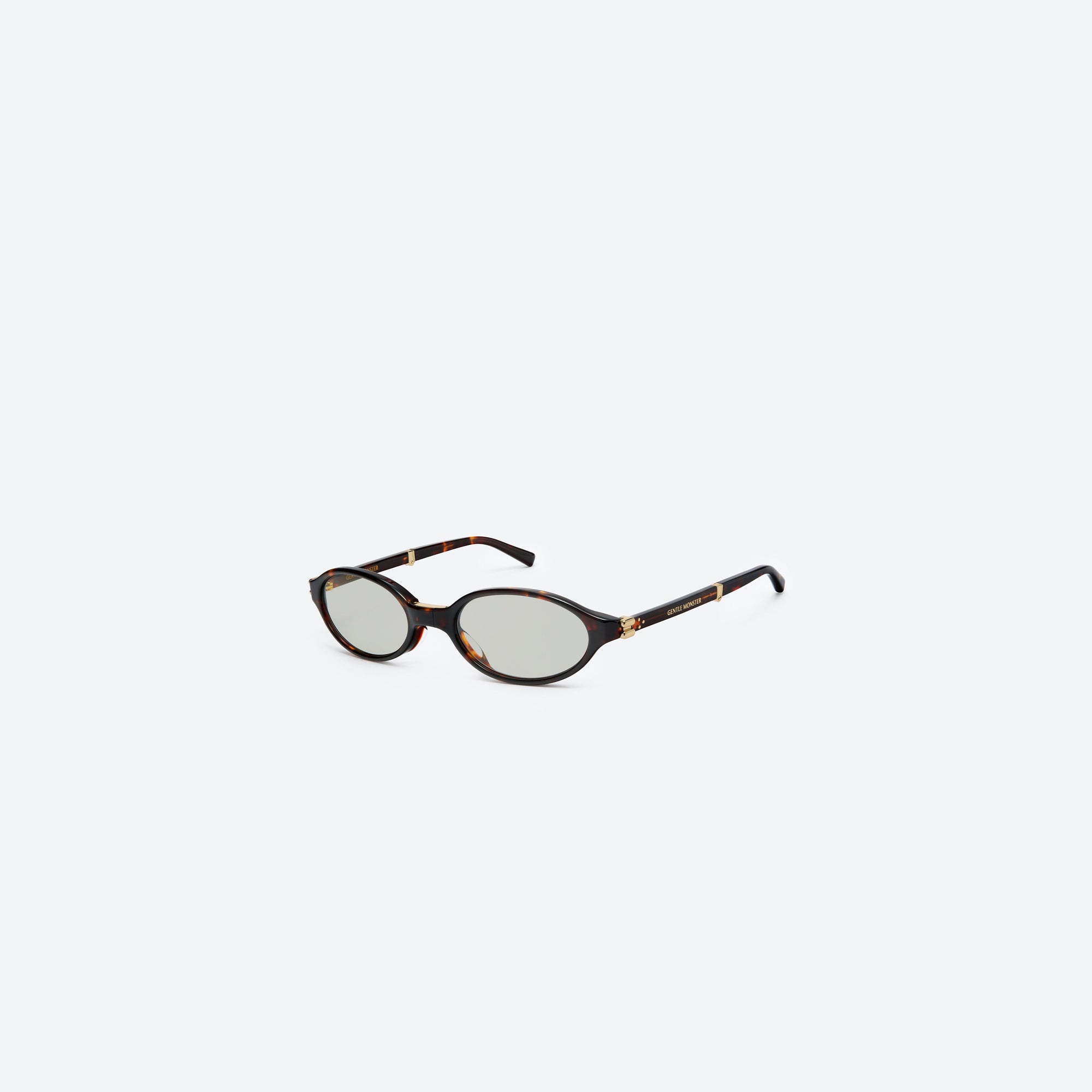 45-degree view of Gentle Monster Ivy T1 Tortoise Acetate framed Oval sunglasses.