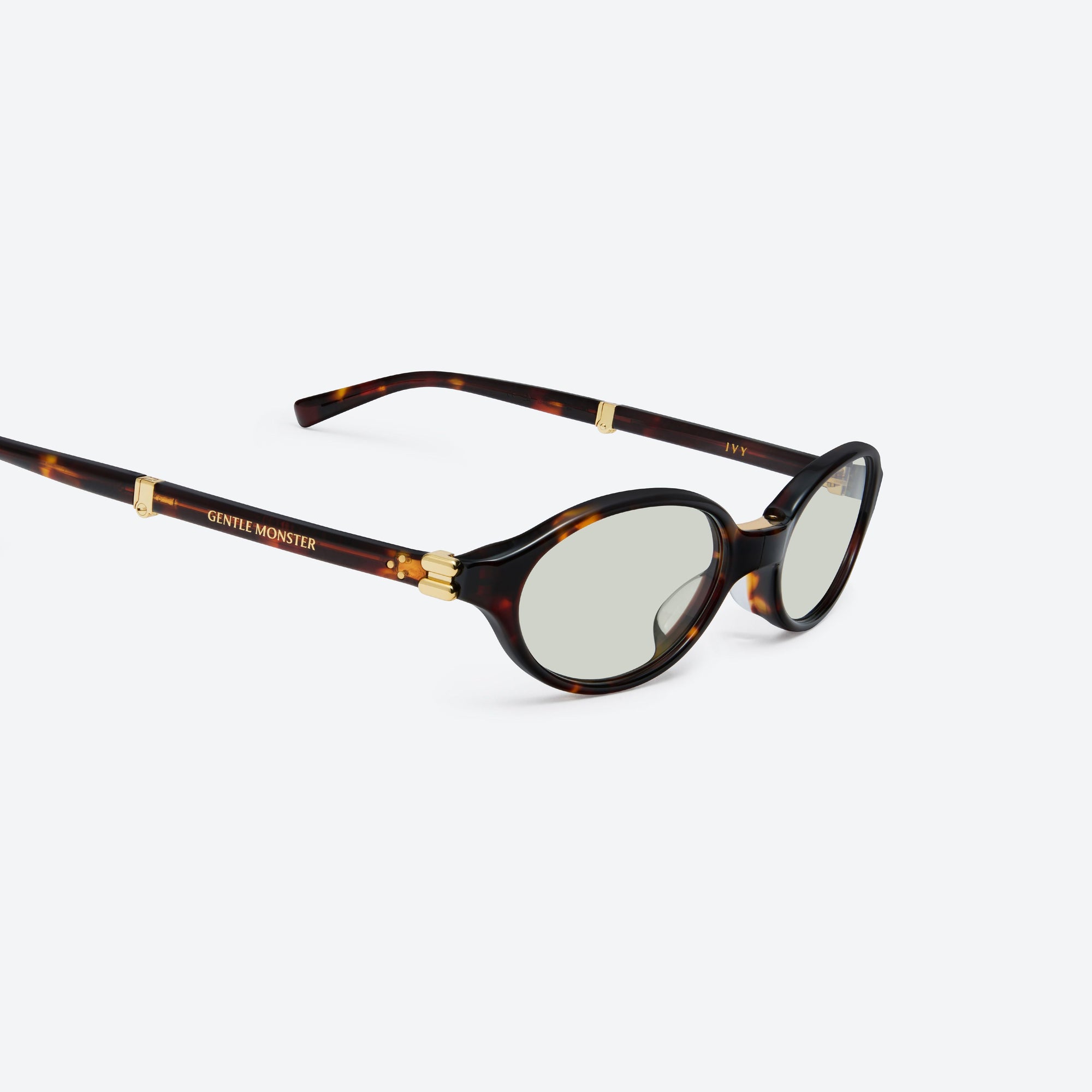45-degree detailed view of Gentle Monster Ivy T1 Tortoise Acetate framed Oval sunglasses.