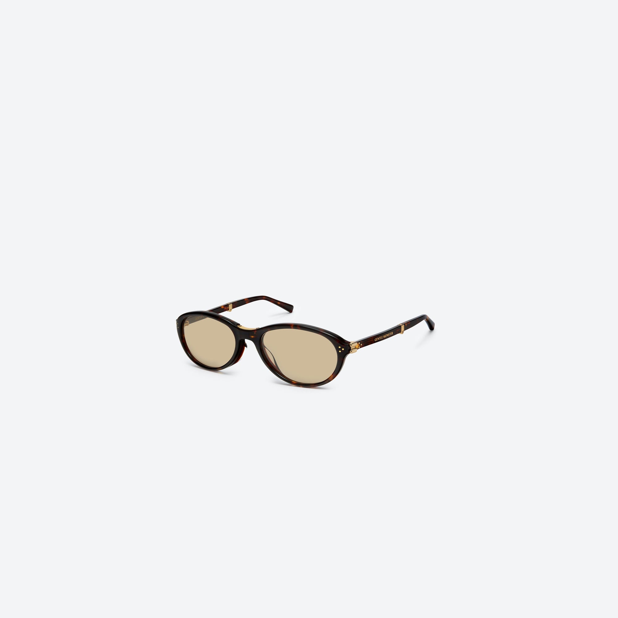 45-degree view of Gentle Monster Harv T1 Tortoise Acetate framed Aviator sunglasses.
