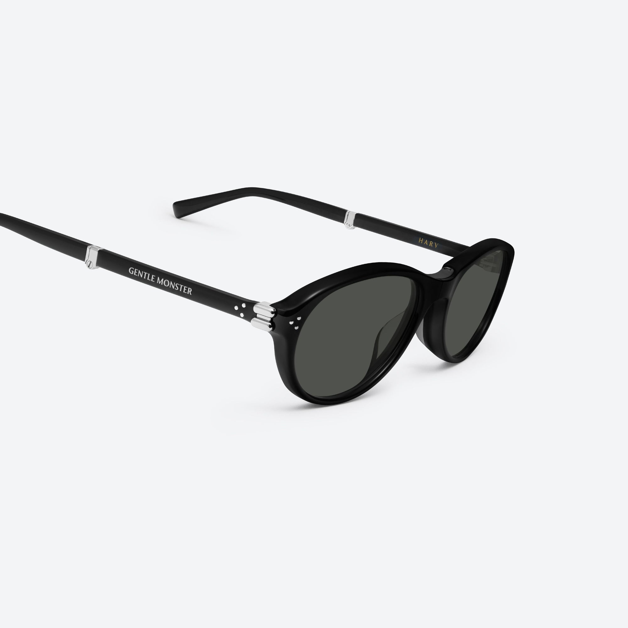 45-degree detailed view of Gentle Monster Harv 01 Black Acetate framed Aviator sunglasses.