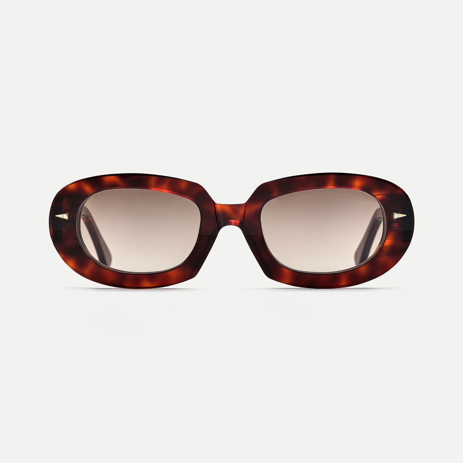 Limited Edition: Lombards#light-turtle-rain-gradient_