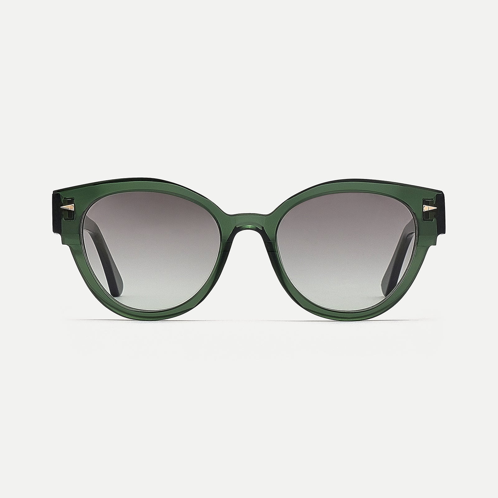 Longchamp#dark-green-green-gradient_