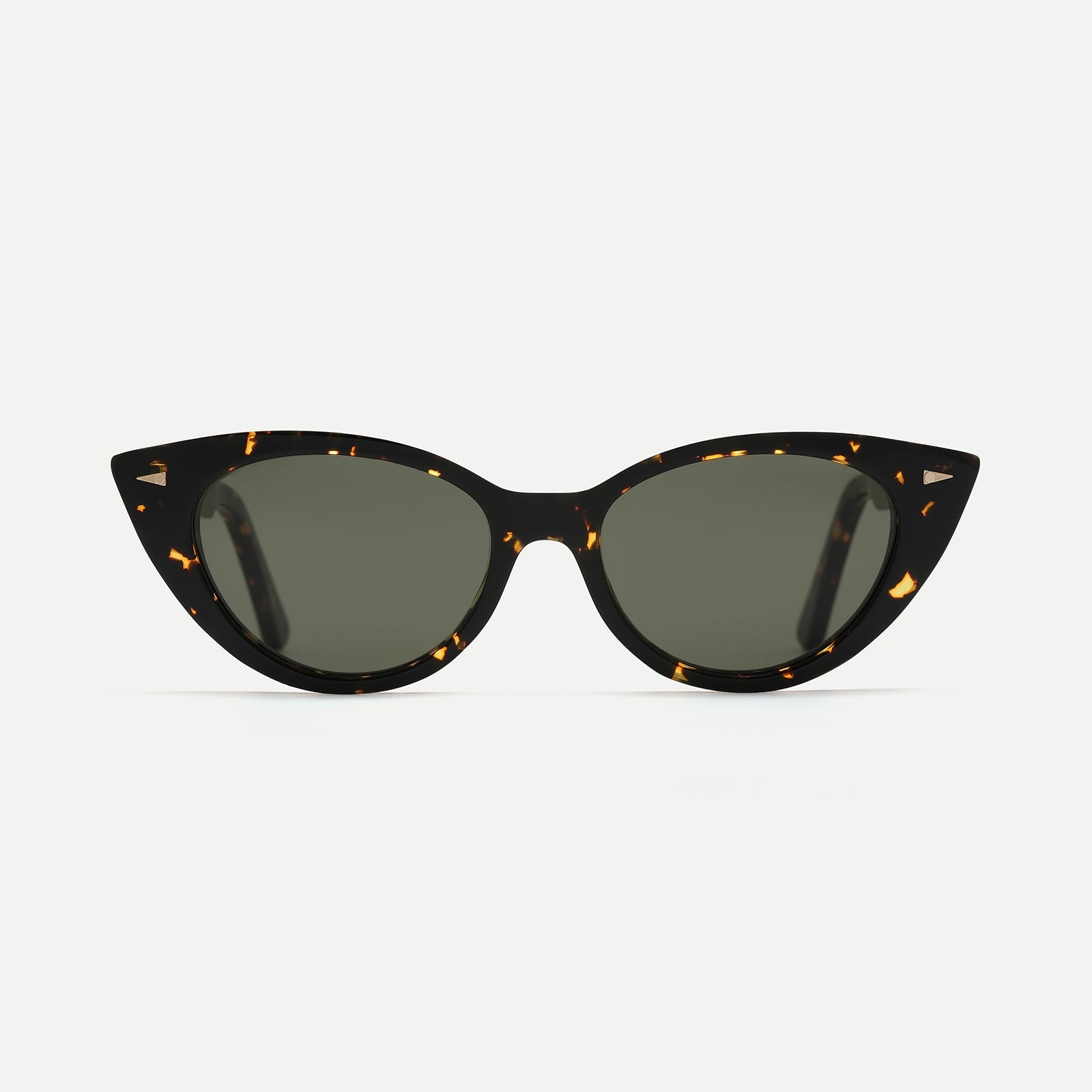 Gambetta#yellow-turtle-g15_
