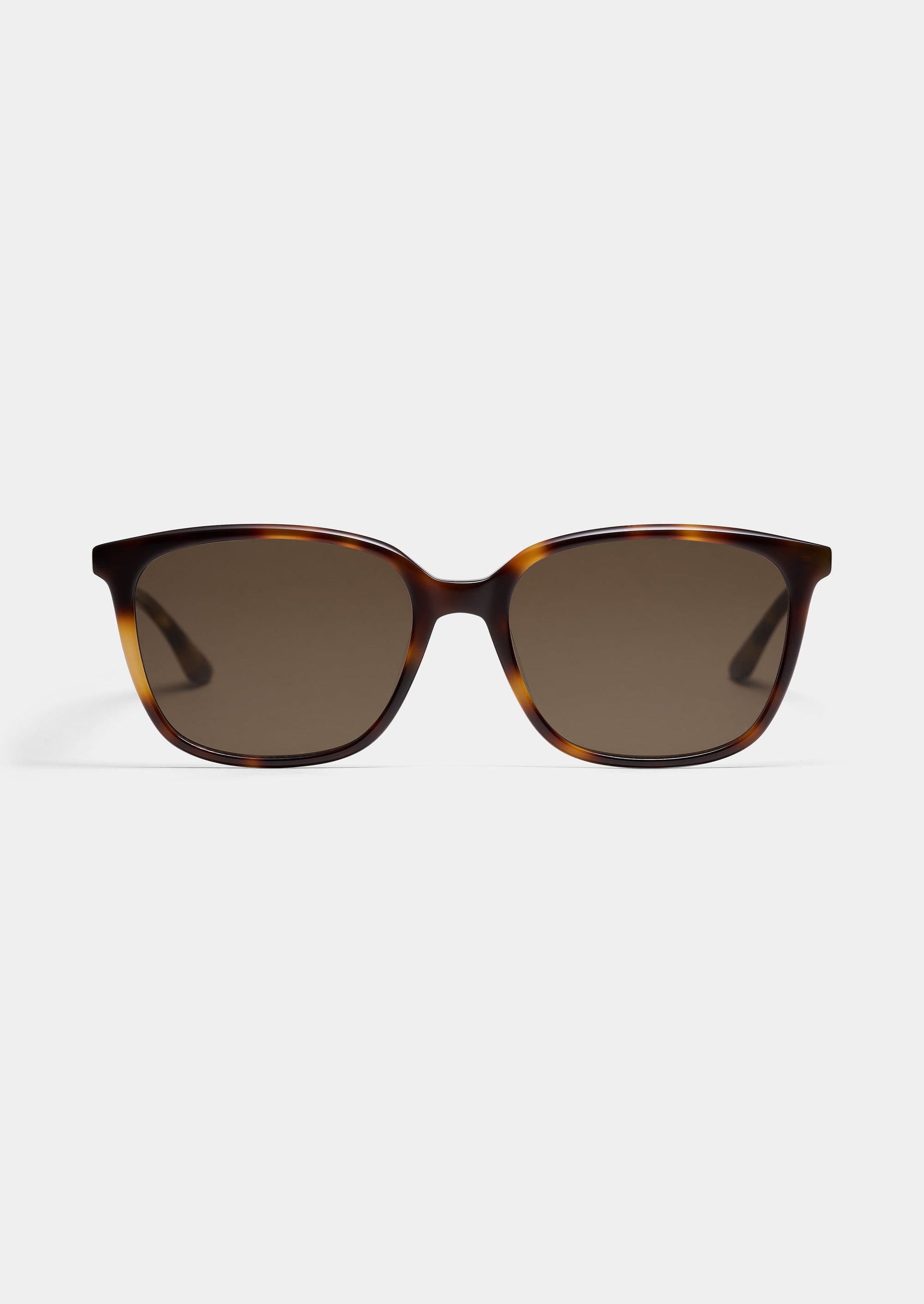 LT36 JOY SUN HAVANA BROWN