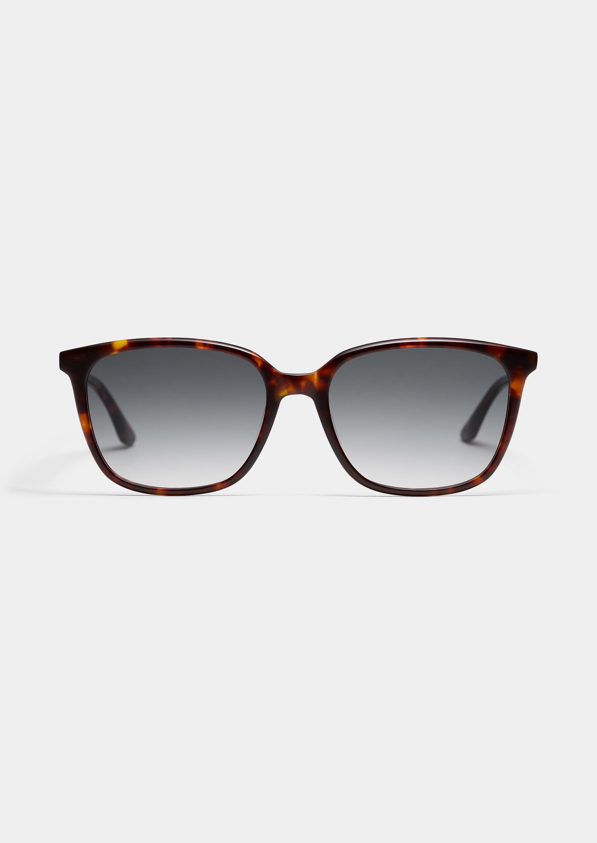 LT36 JOY SUN TORTOISE FADE GREY