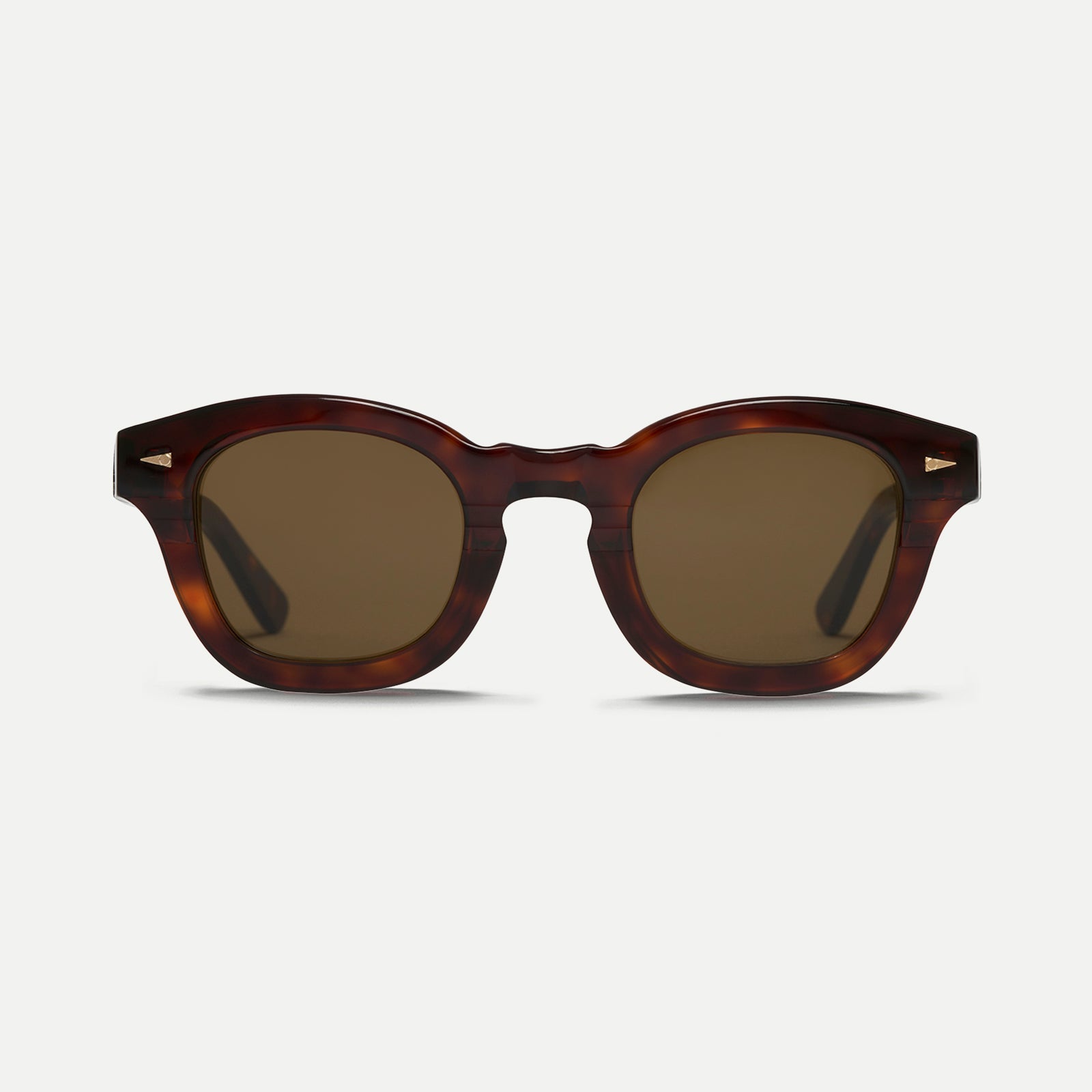 Le Marais#light-turtle_