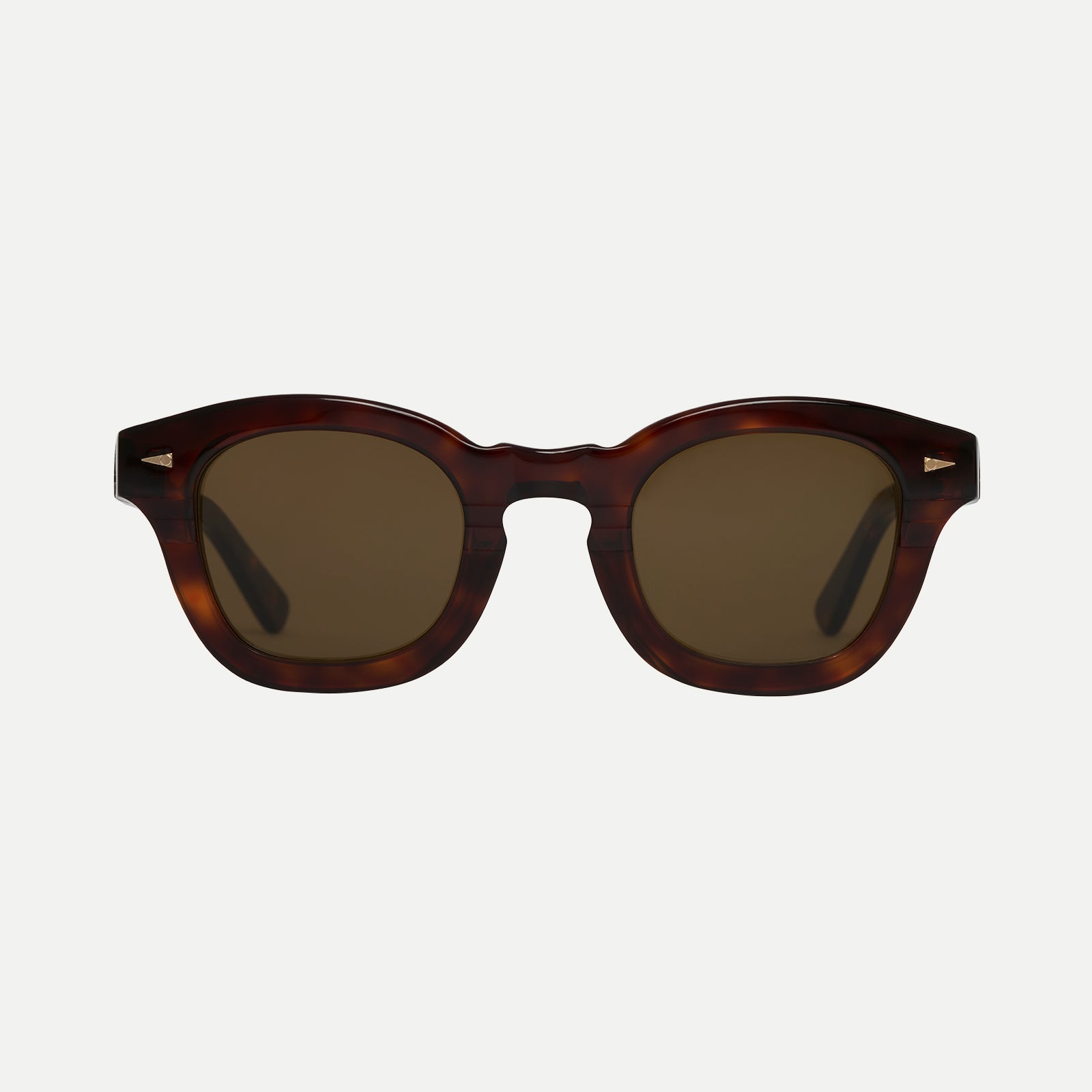 Le Marais#light-turtle_
