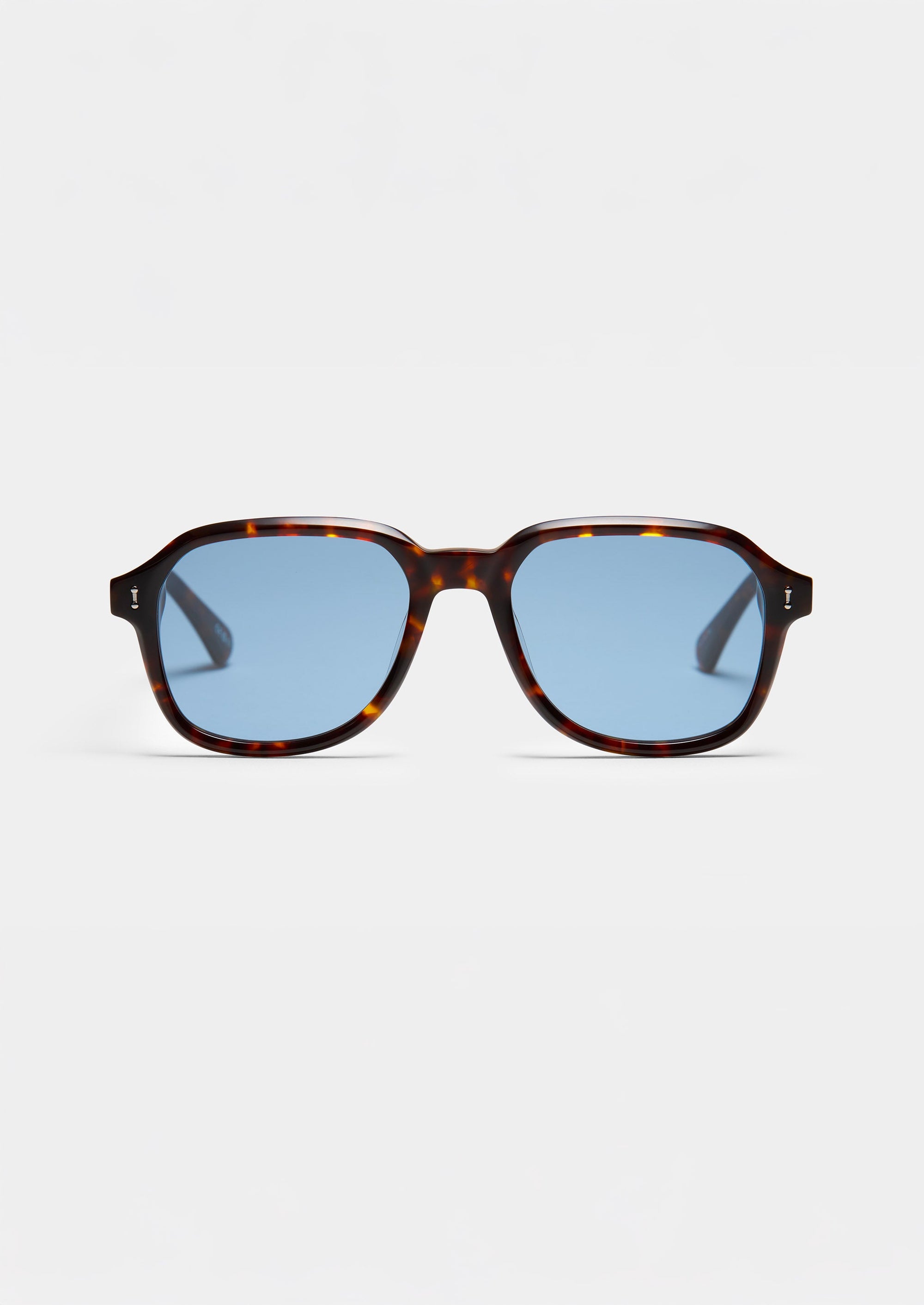S126 NIGHT TRAIN SUN TORTOISE GRIS BLEU