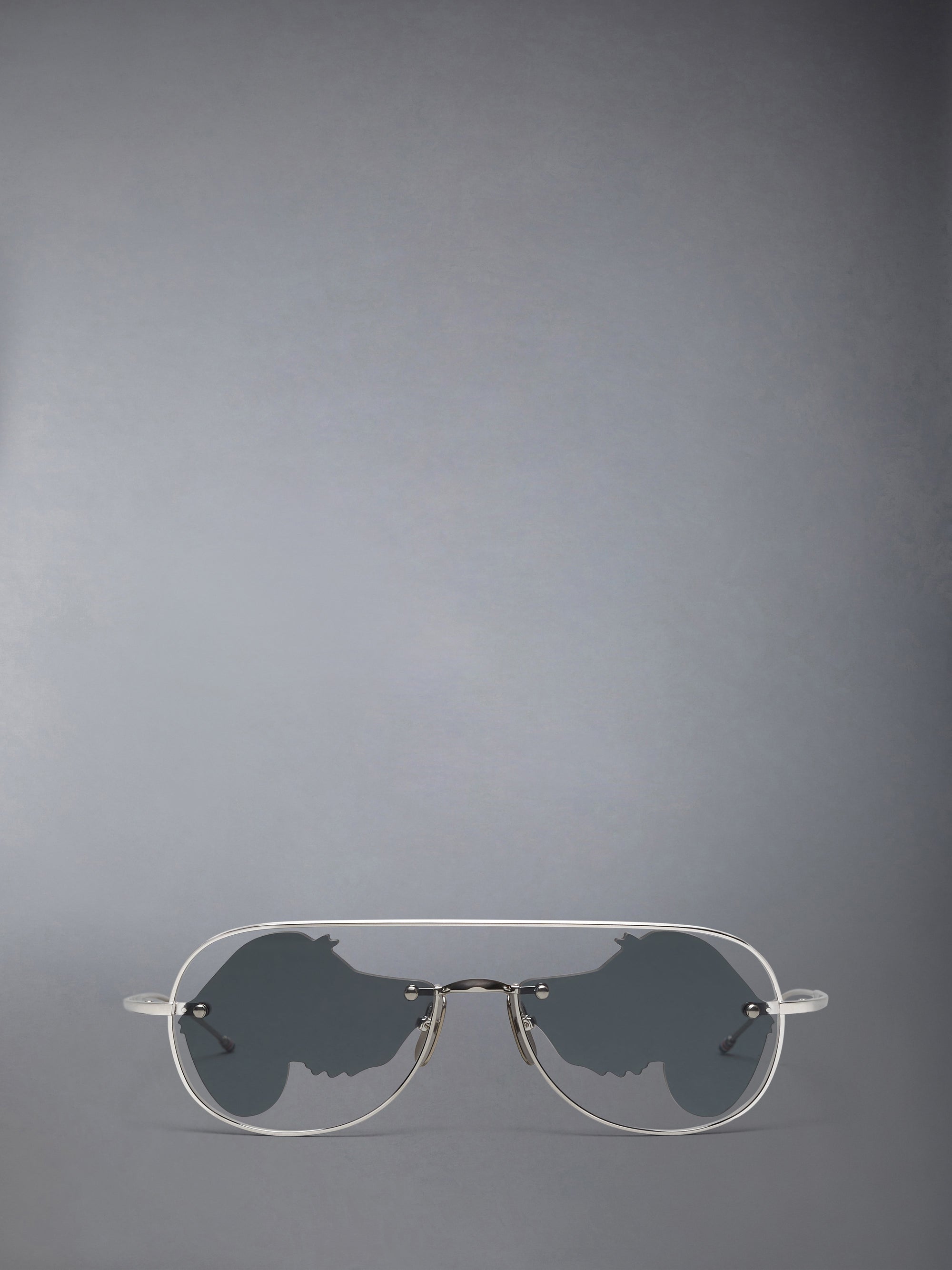 TITANIUM HECTOR AVIATOR SUNGLASSES