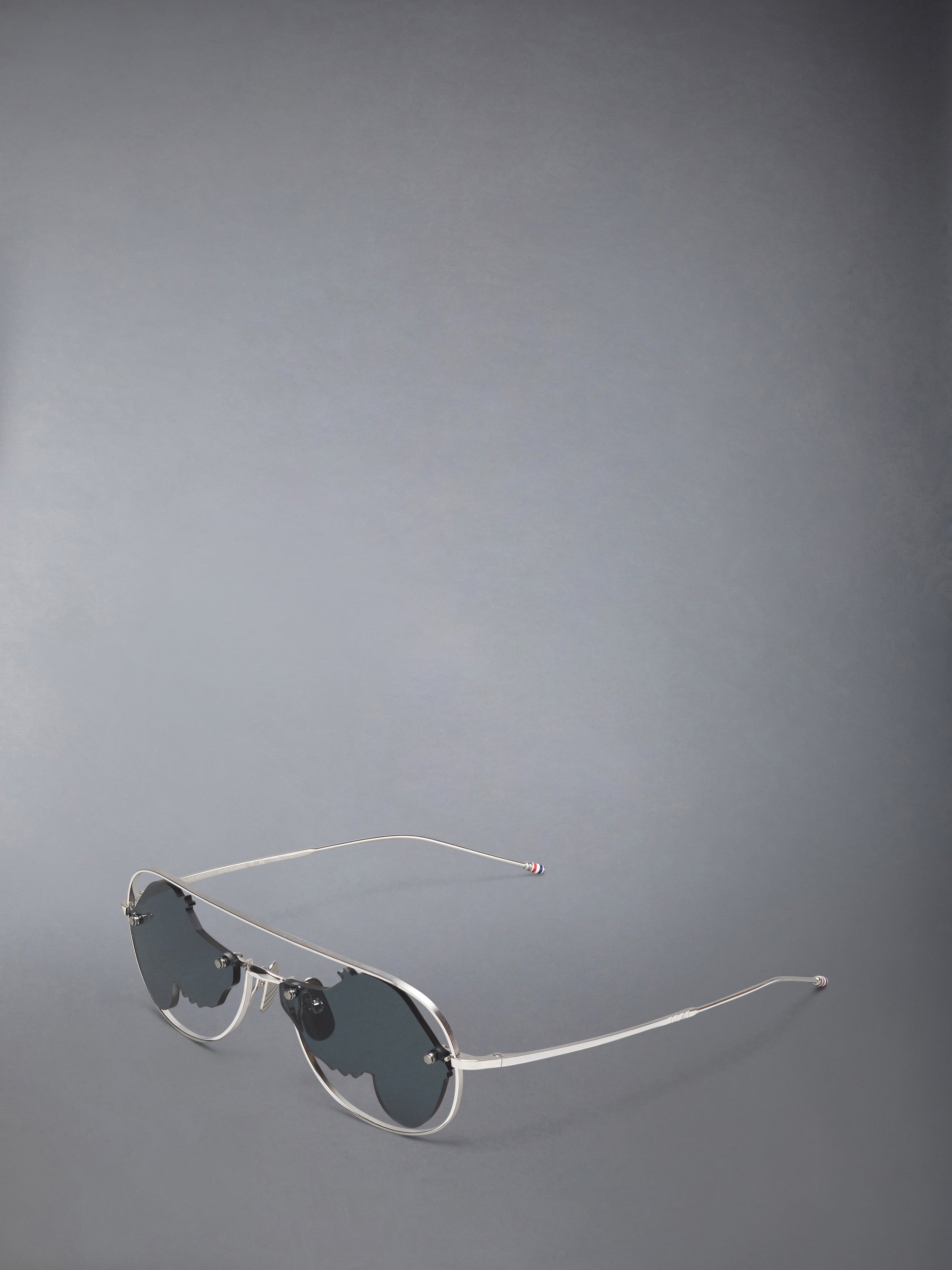 TITANIUM HECTOR AVIATOR SUNGLASSES