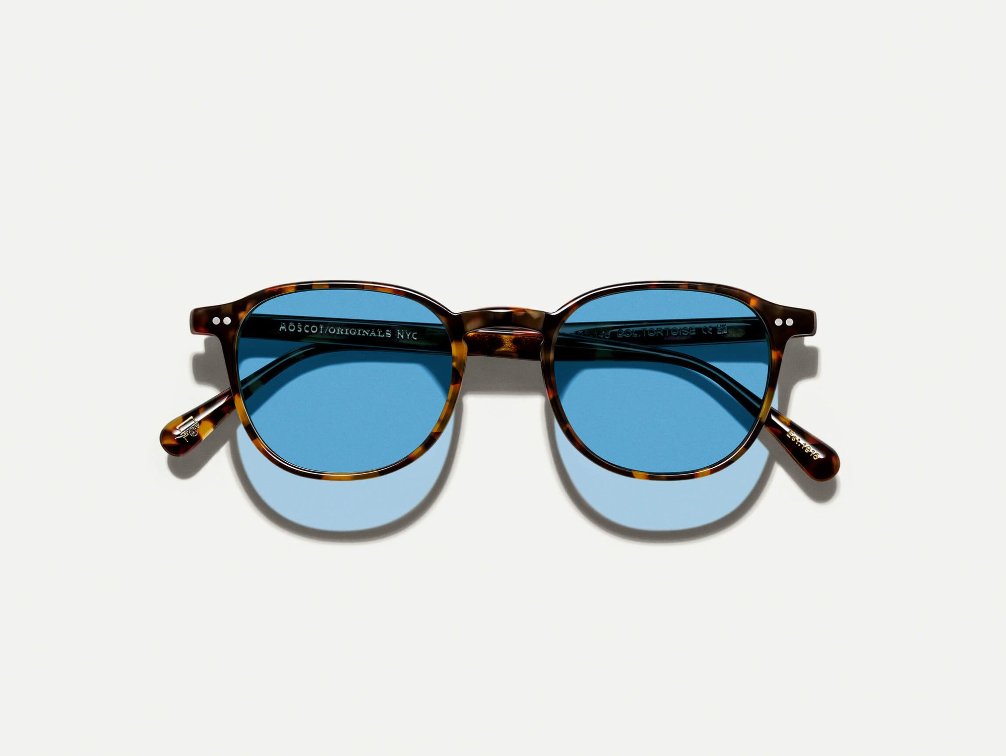 Arthur Sun#tortoise_