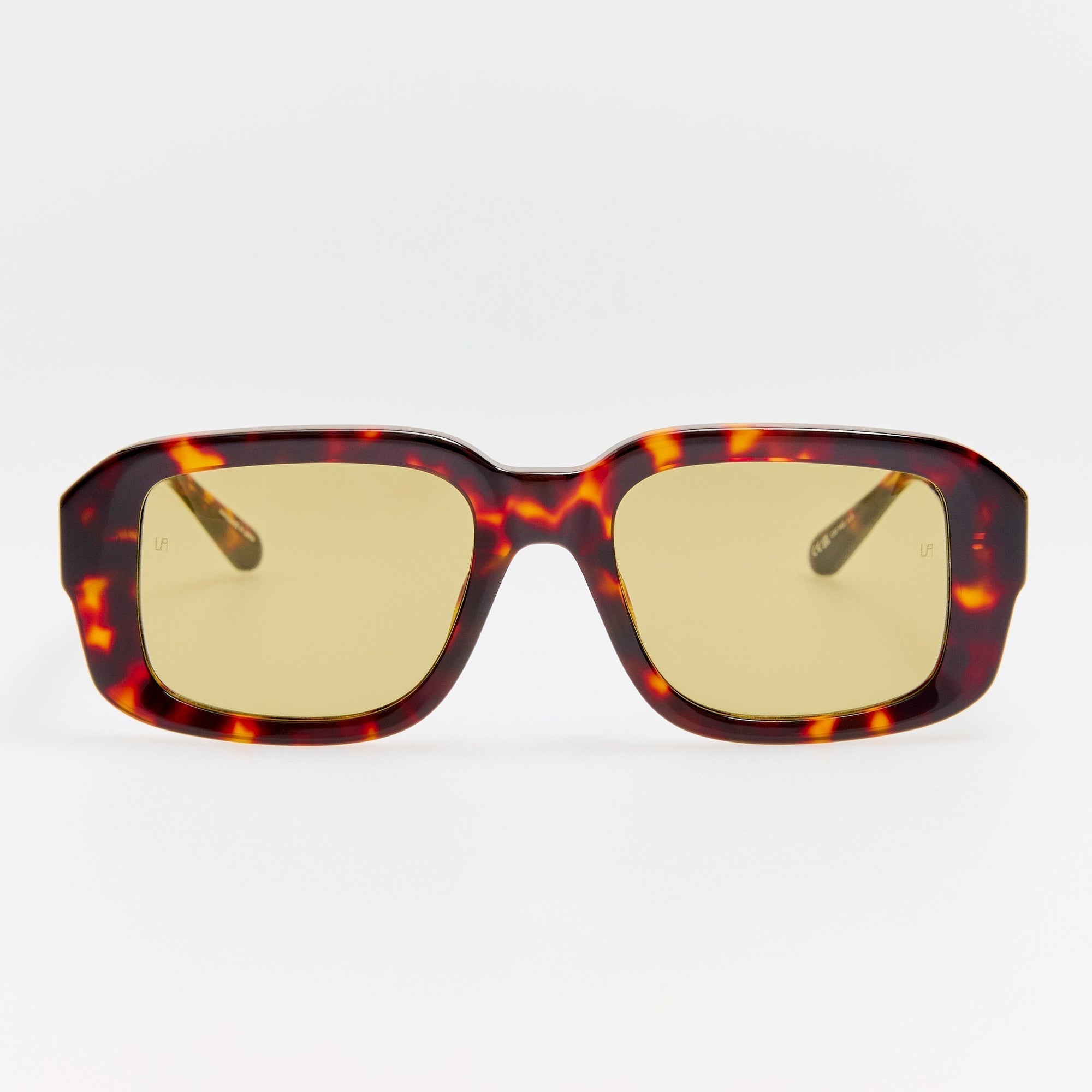 Delmare Sunglasses in Dark Tortoiseshell
