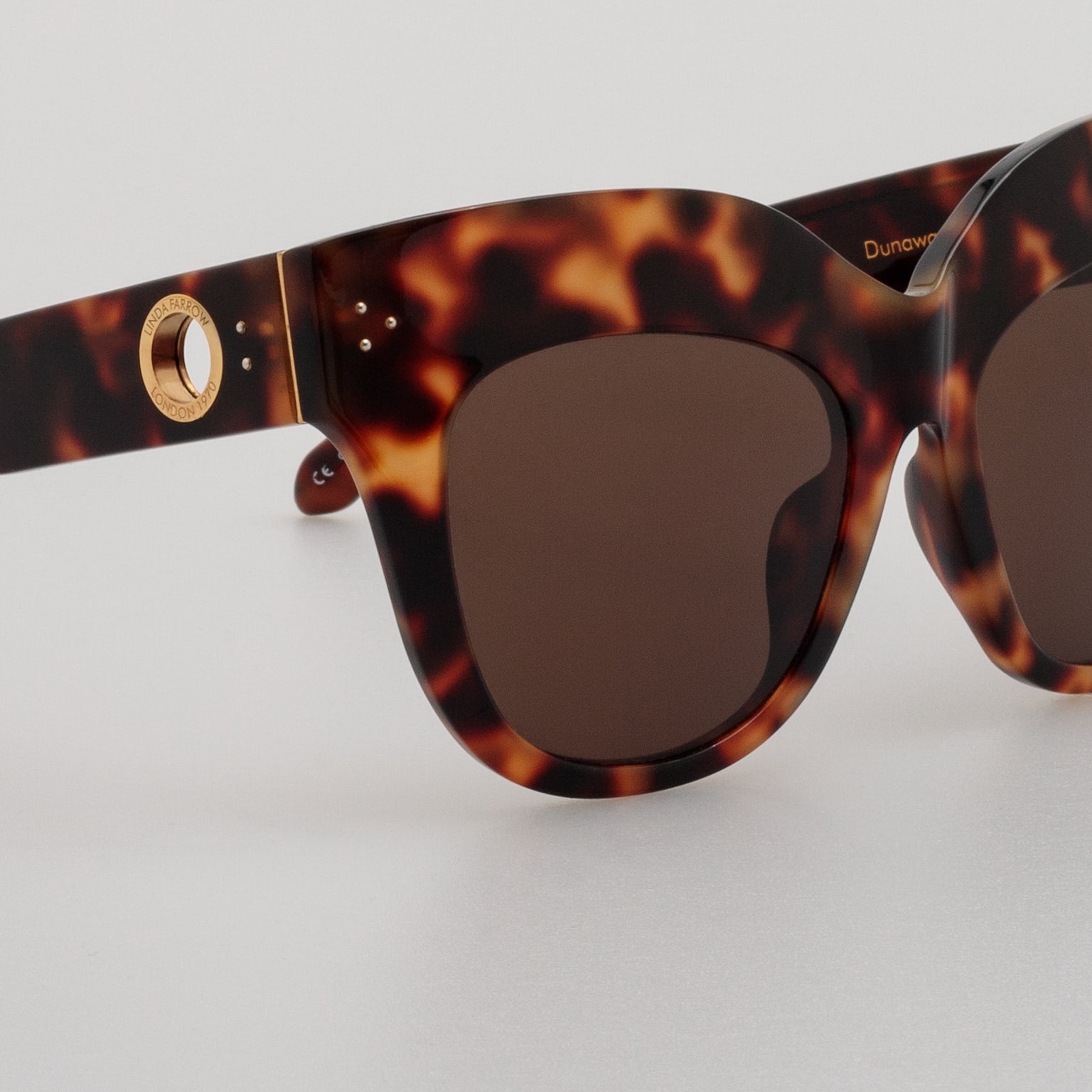 Dunaway Sunglasses in Tortoiseshell