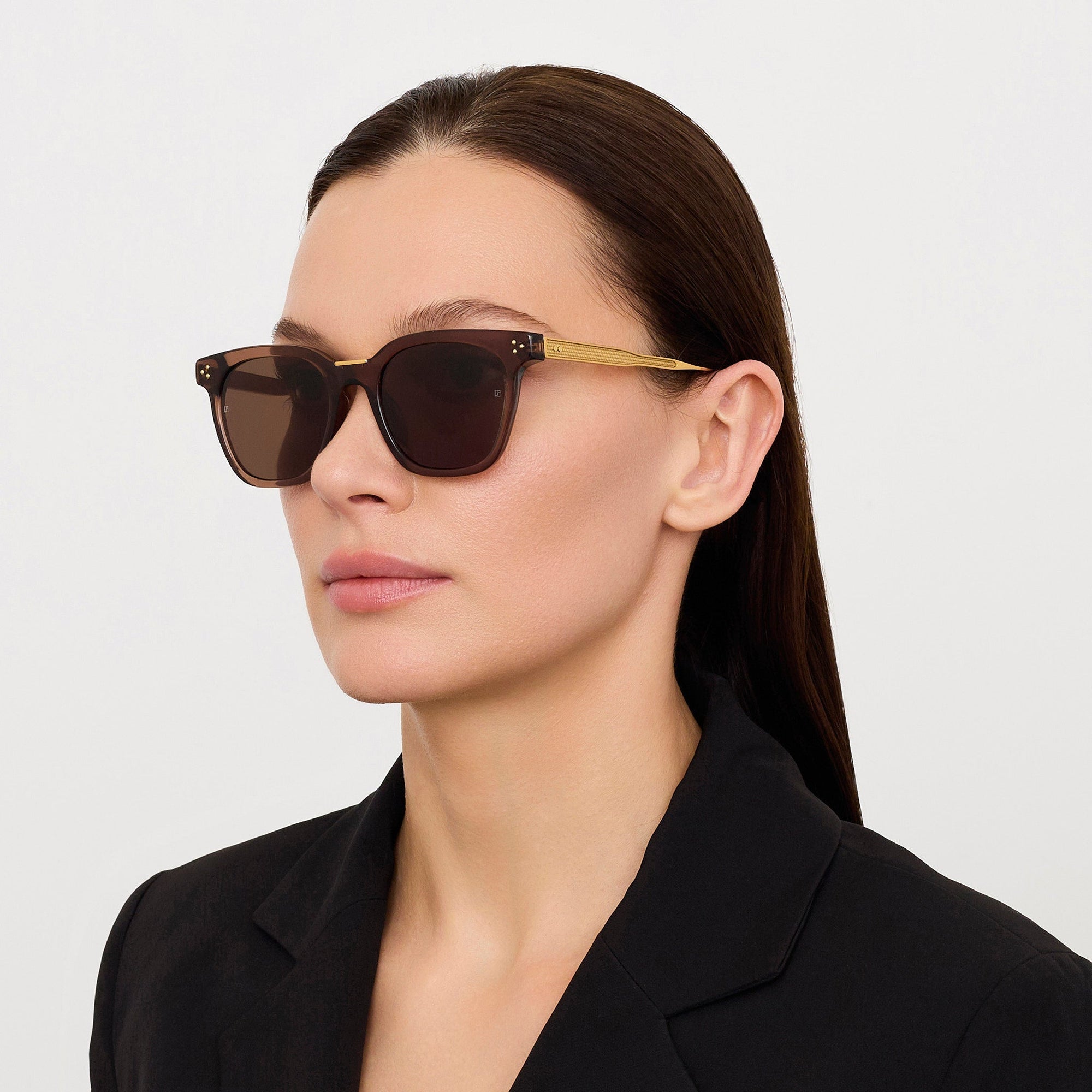 Evan Sunglasses in 22K Gold and Brown