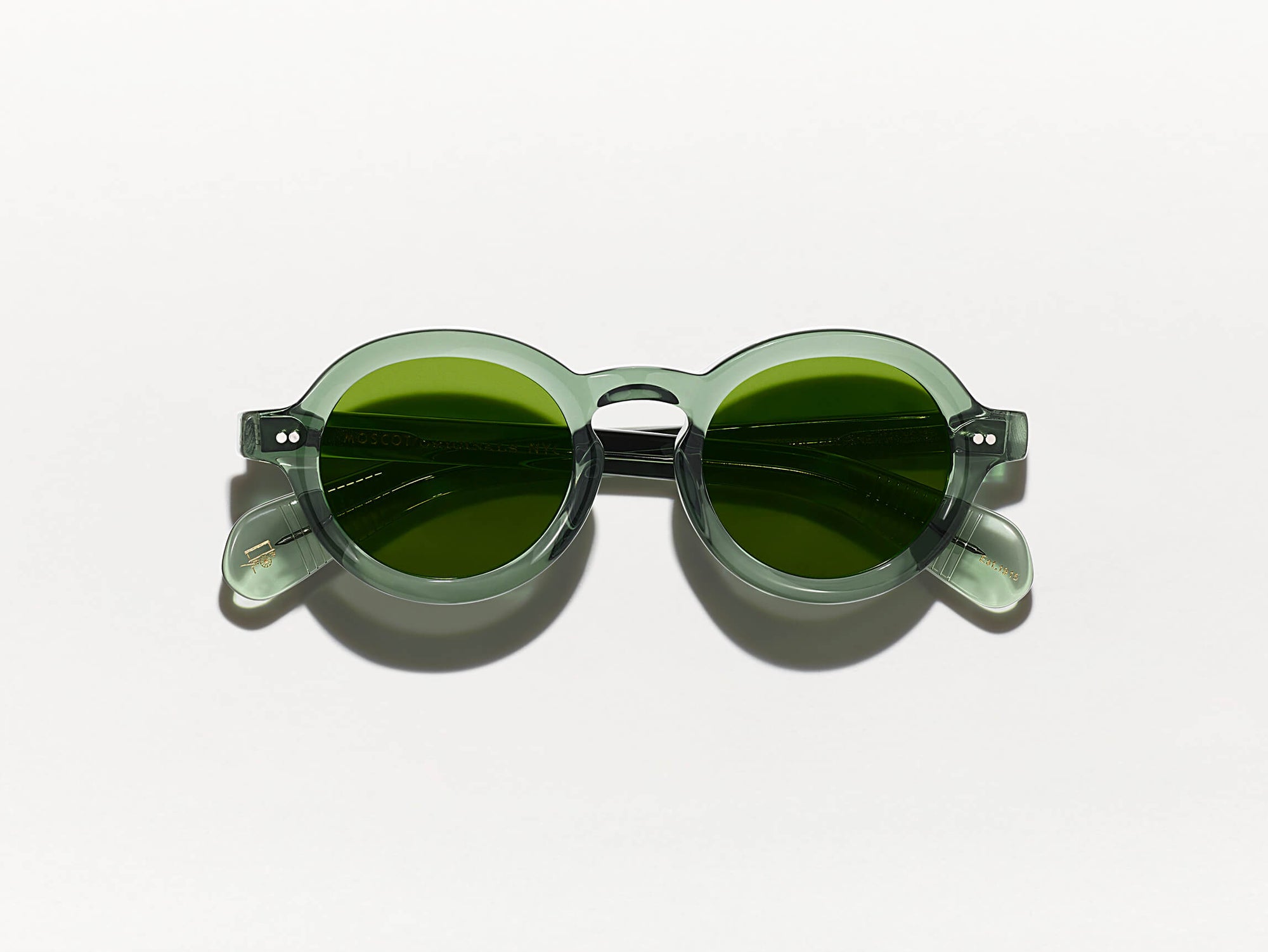 Foygel Sun#pine_