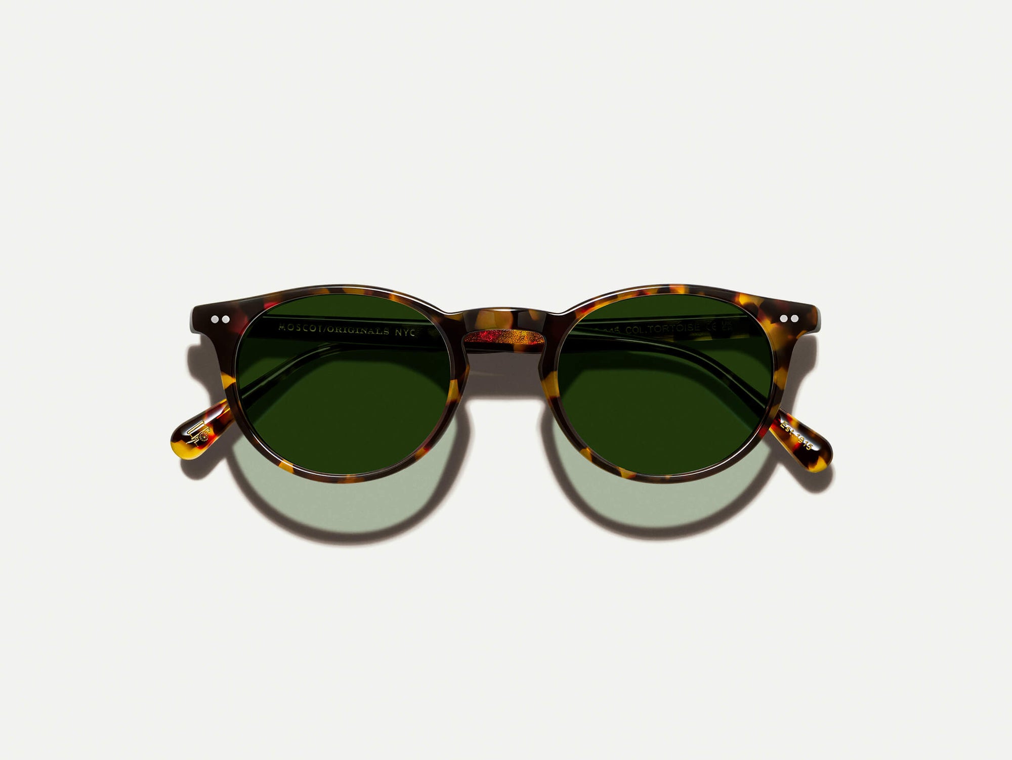 Frankie Sun#tortoise_