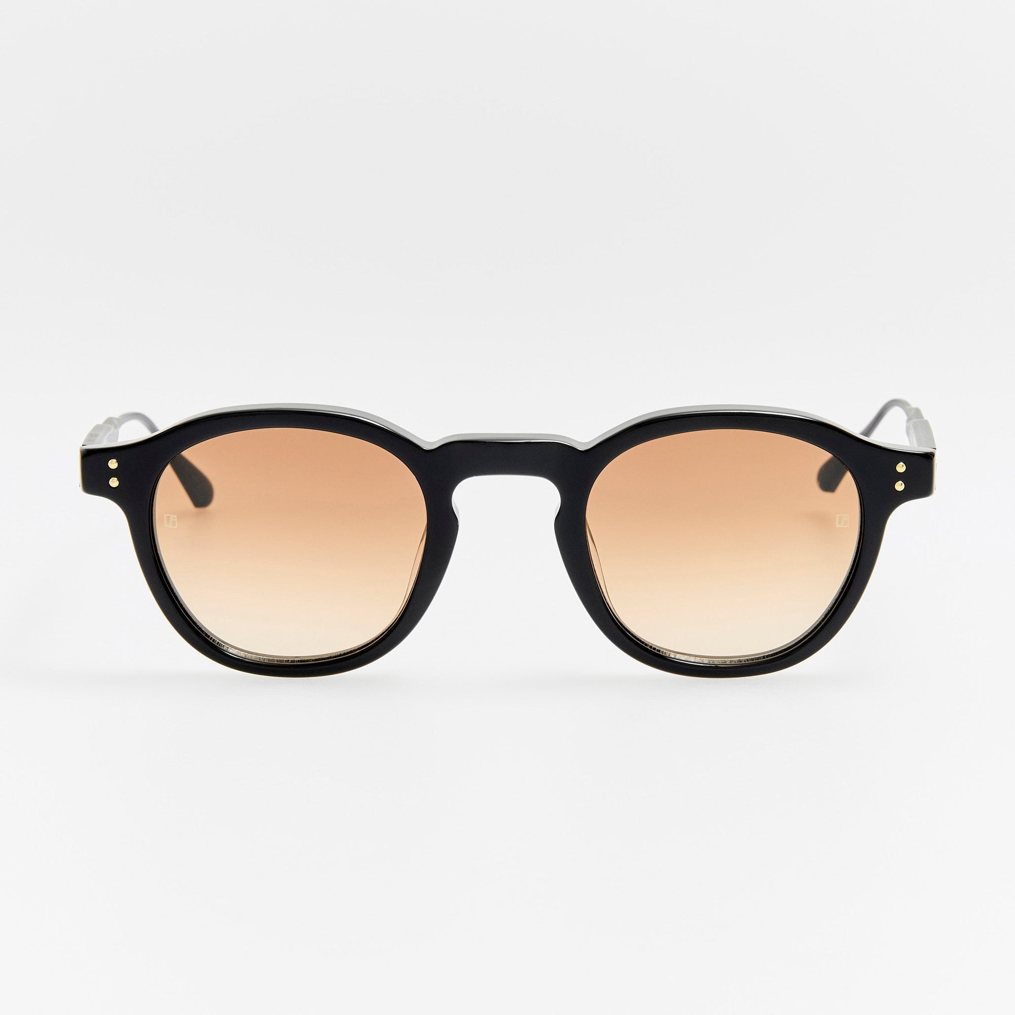 Heath Sunglasses in Black and Mocha