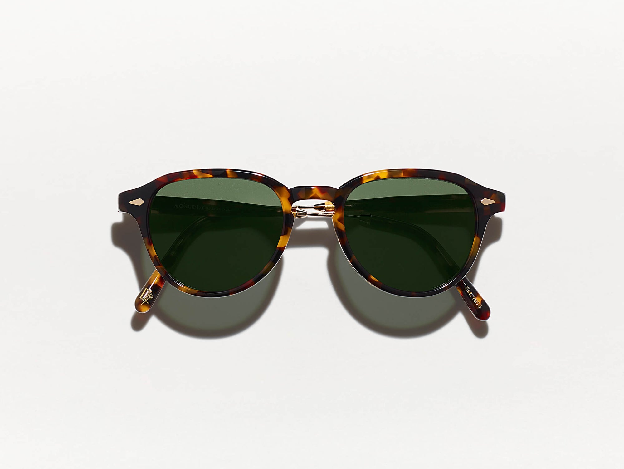 Kash Sun#tortoise-gold_