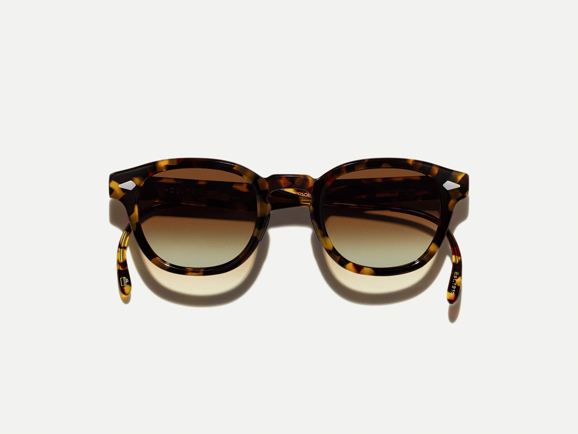 Lemtosh Sport#tortoise_