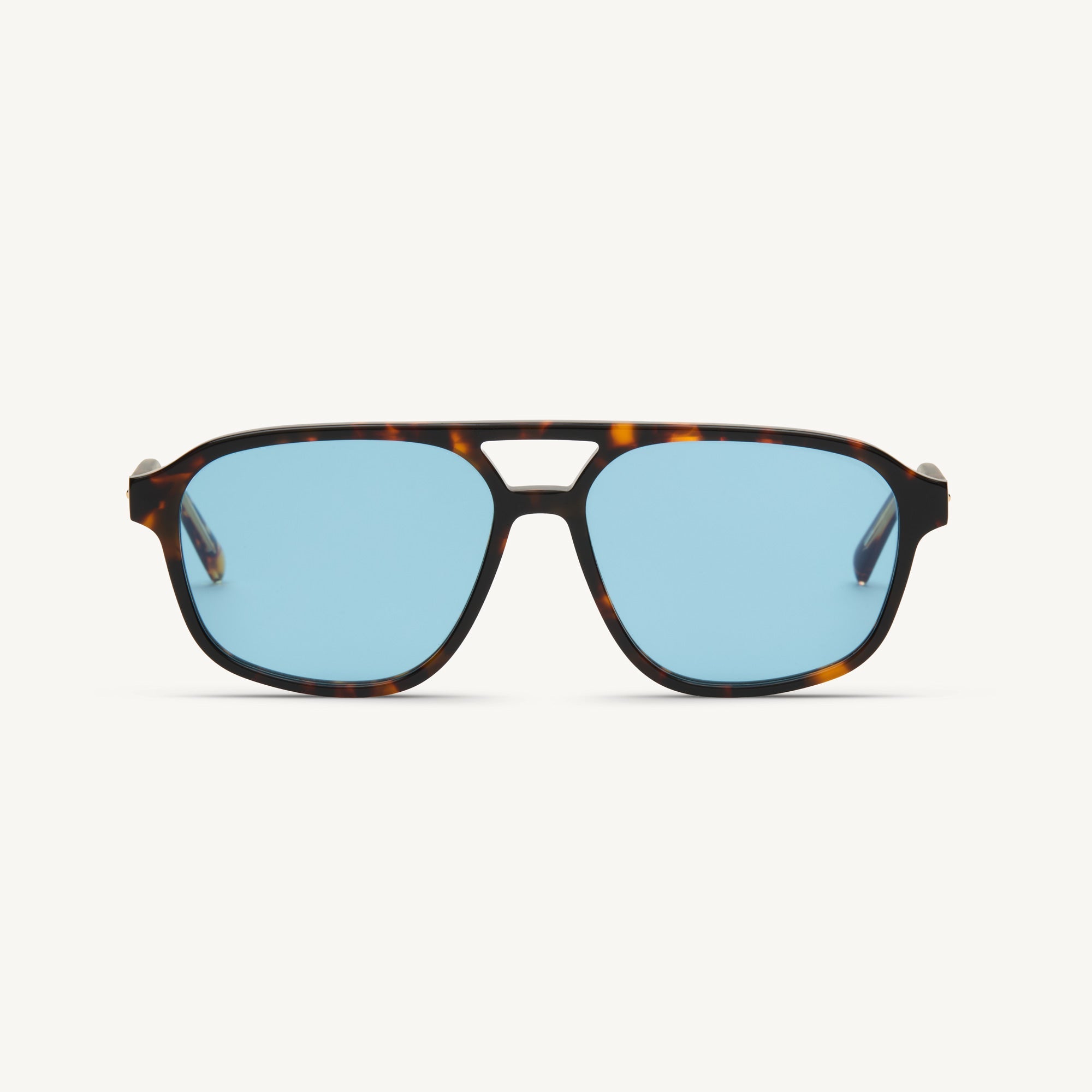 Magnus - Tortoise - 33 Light Blue Gradient