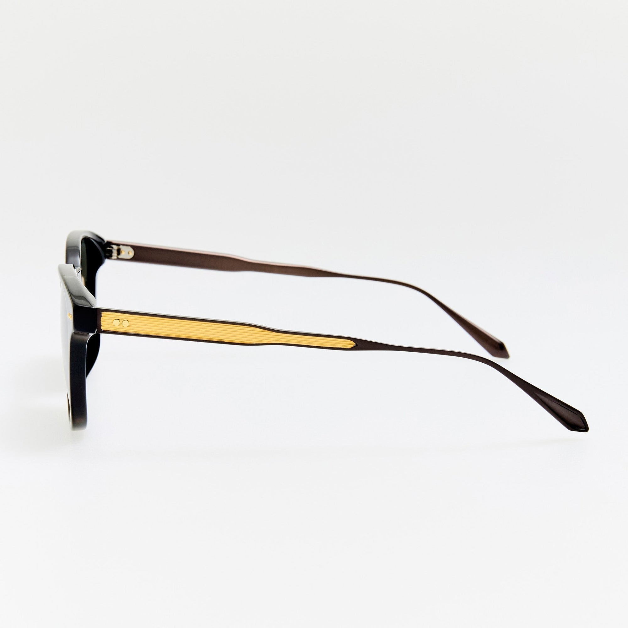 Paulson Sunglasses in Black