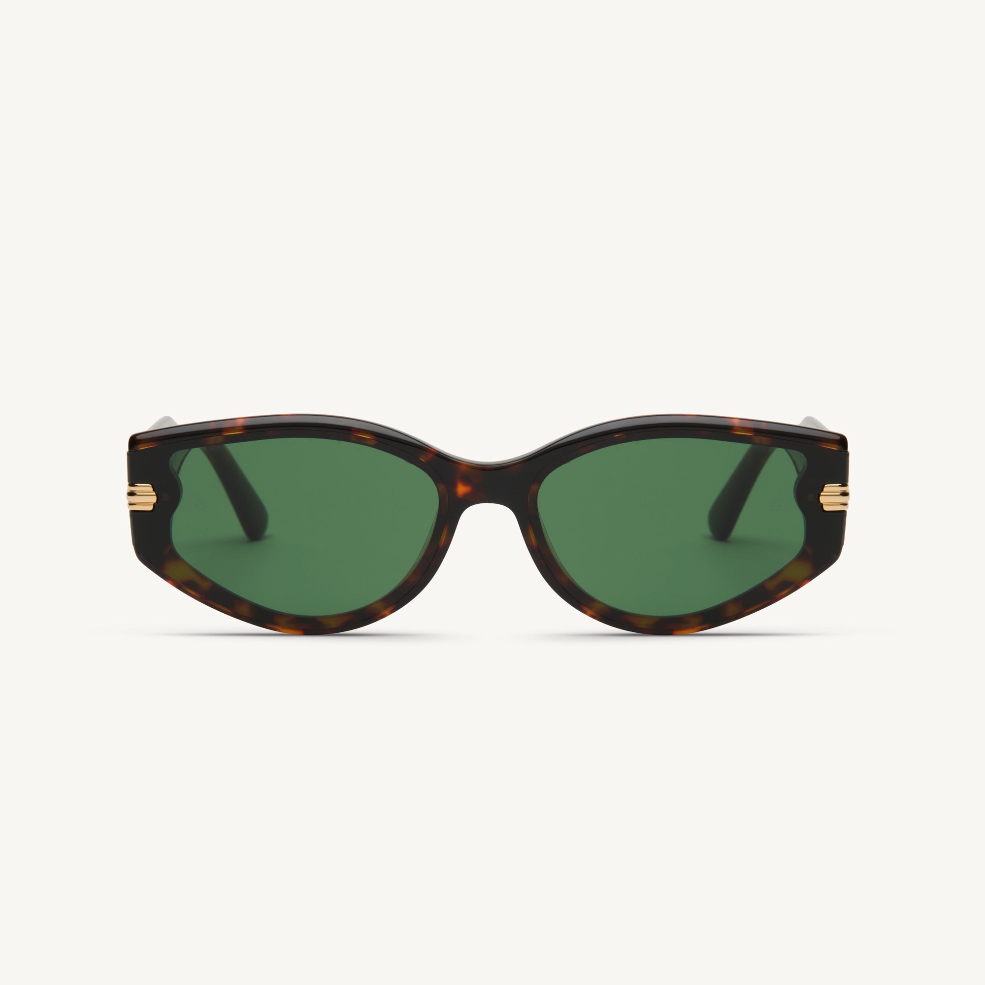 Perla - Tortoise