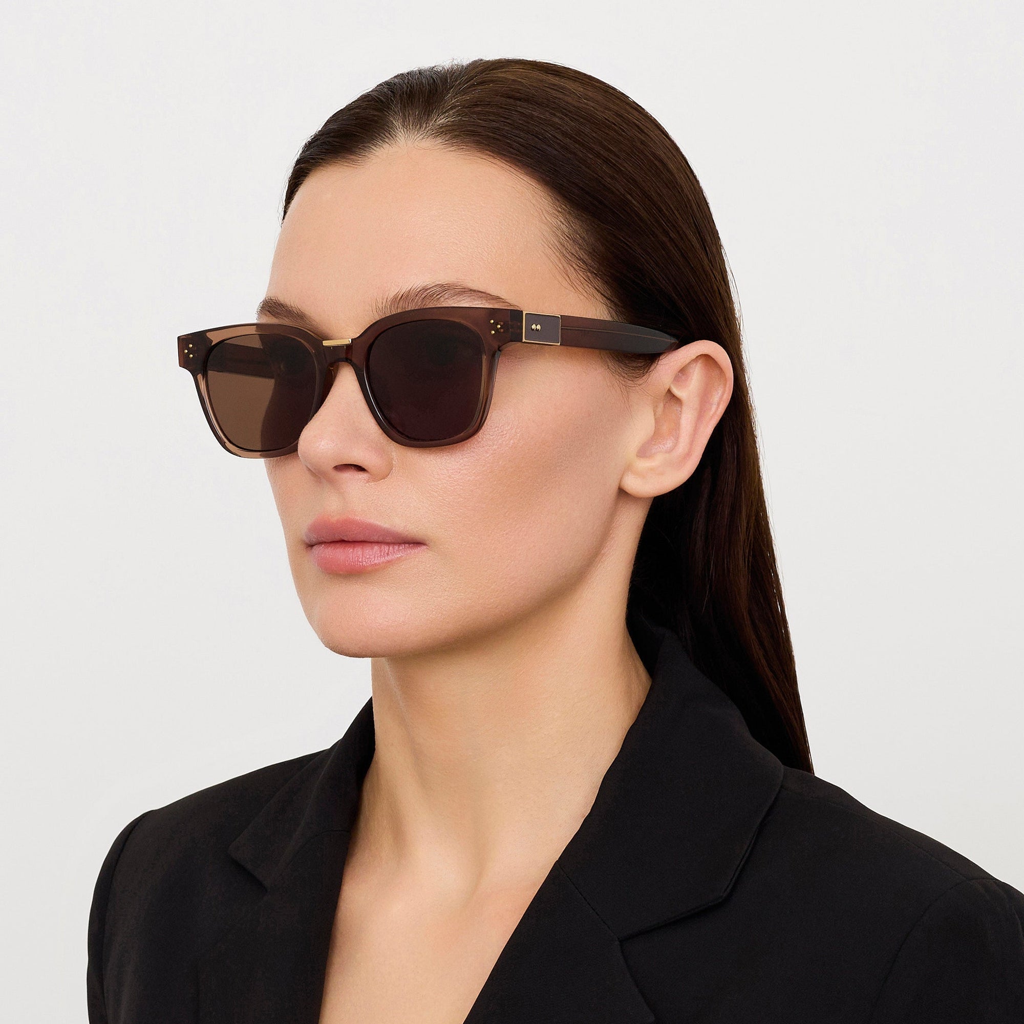 Sanchez Sunglasses in 22K Gold and Brown