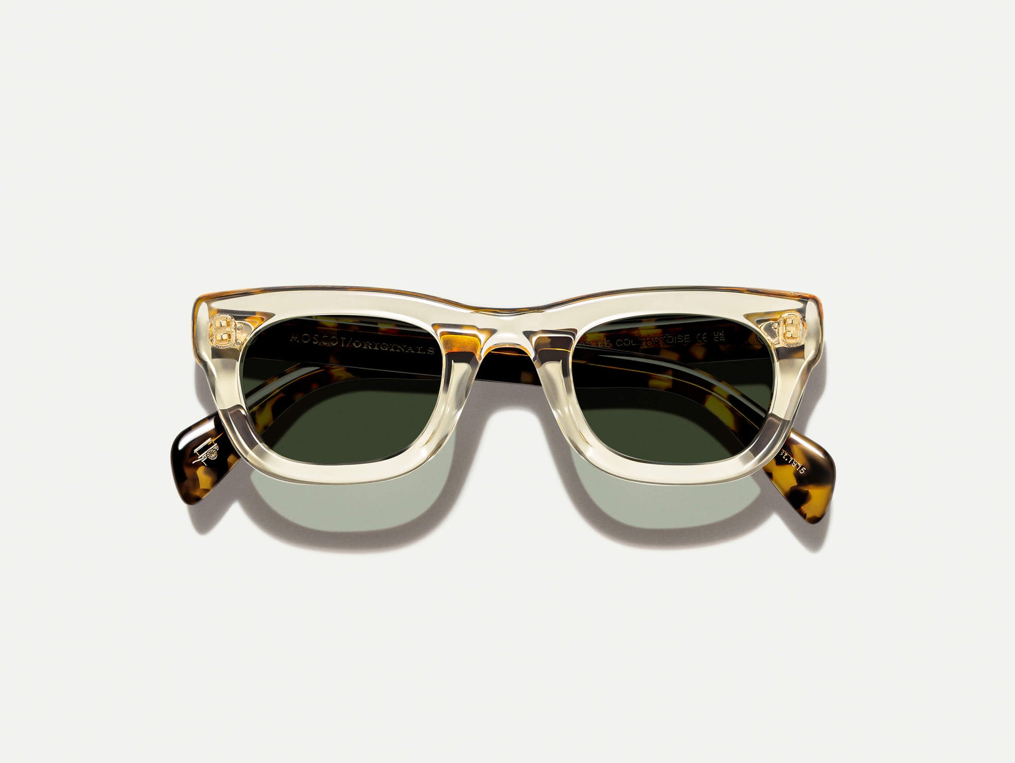 Spilkes Sun#flesh-tortoise_