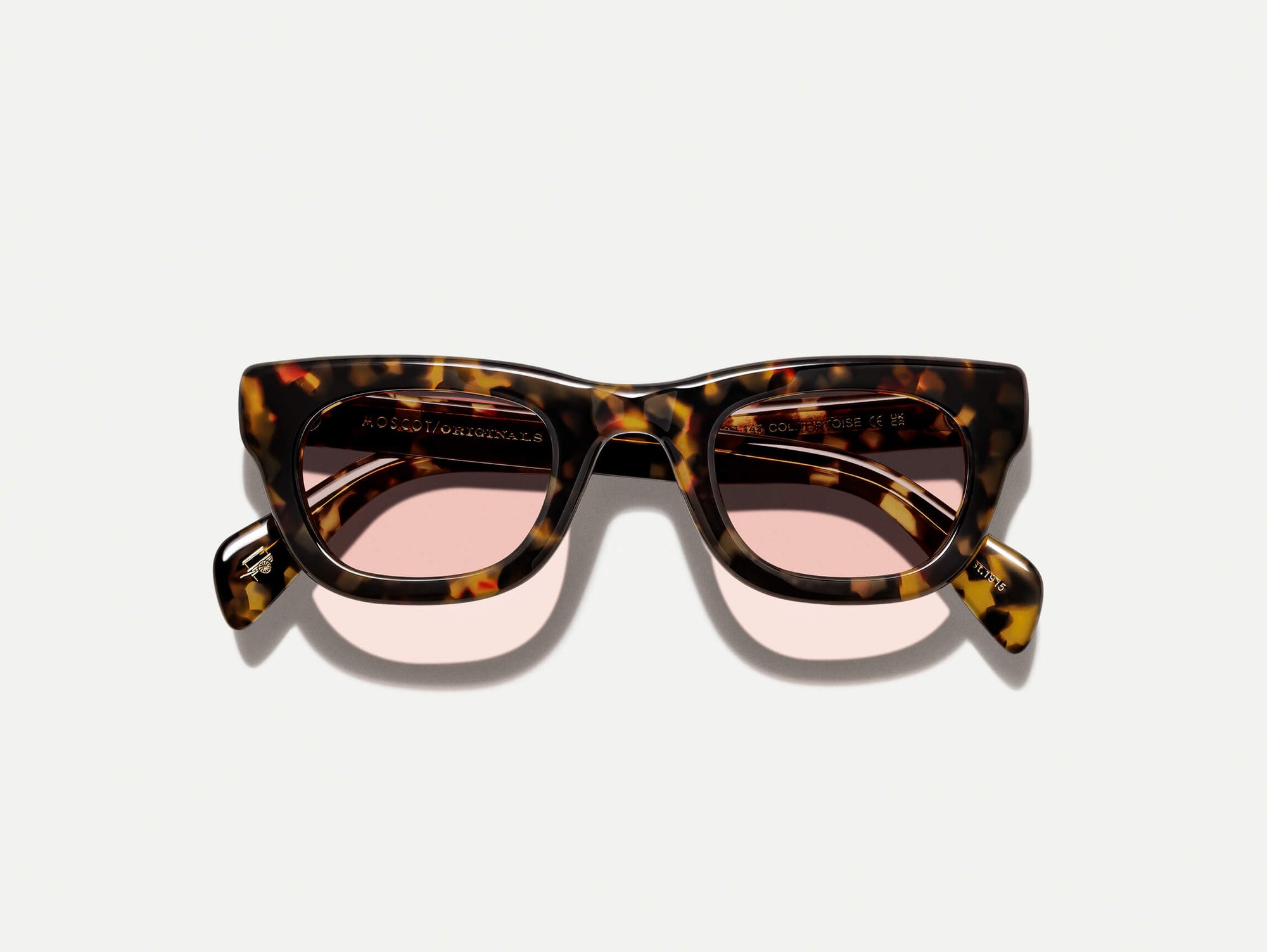 Spilkes Sun#tortoise_