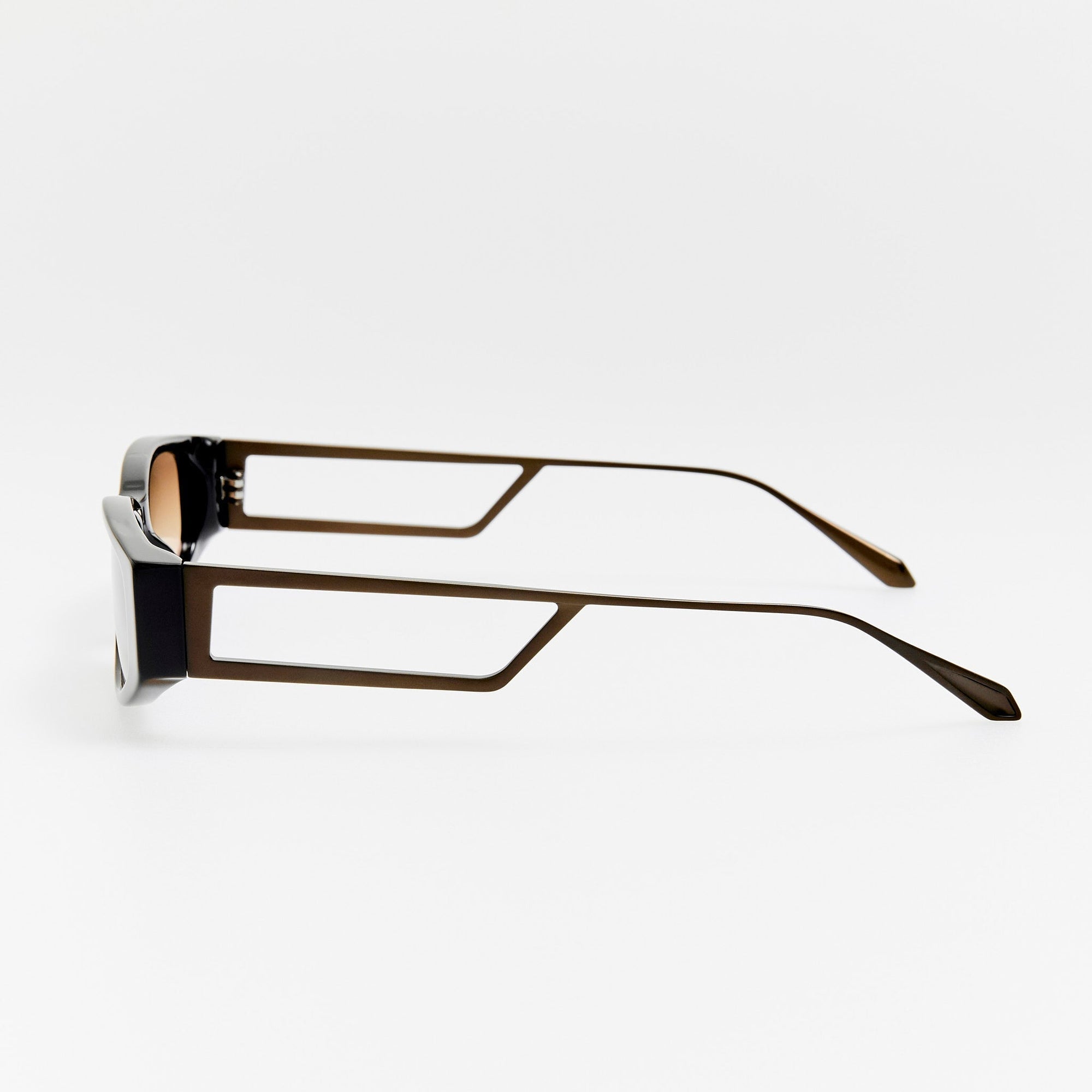Susie Vista Temple Sunglasses in Black and Mocha Lens