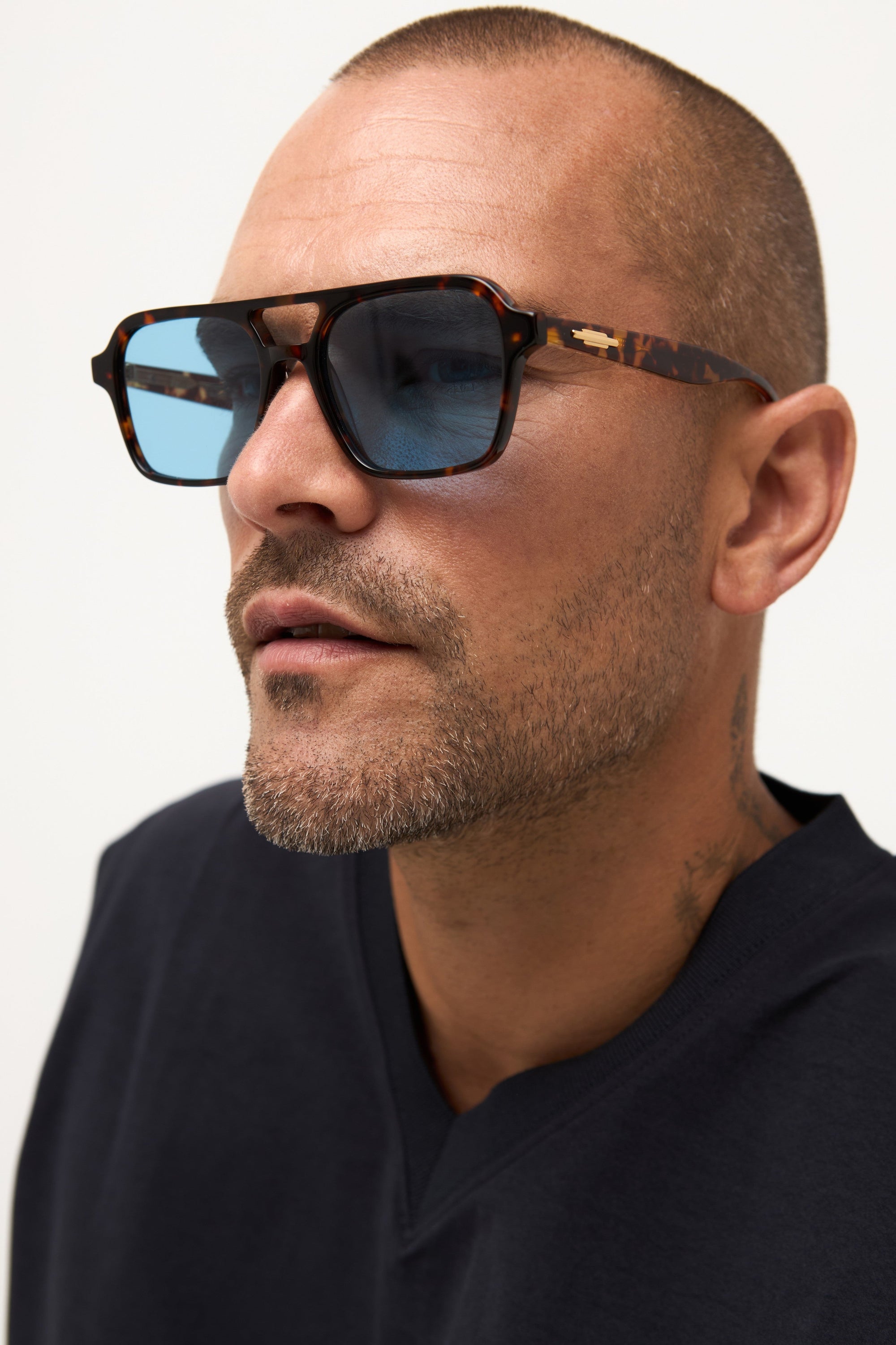 Waxy - Tortoise - 33 Light Blue Gradient