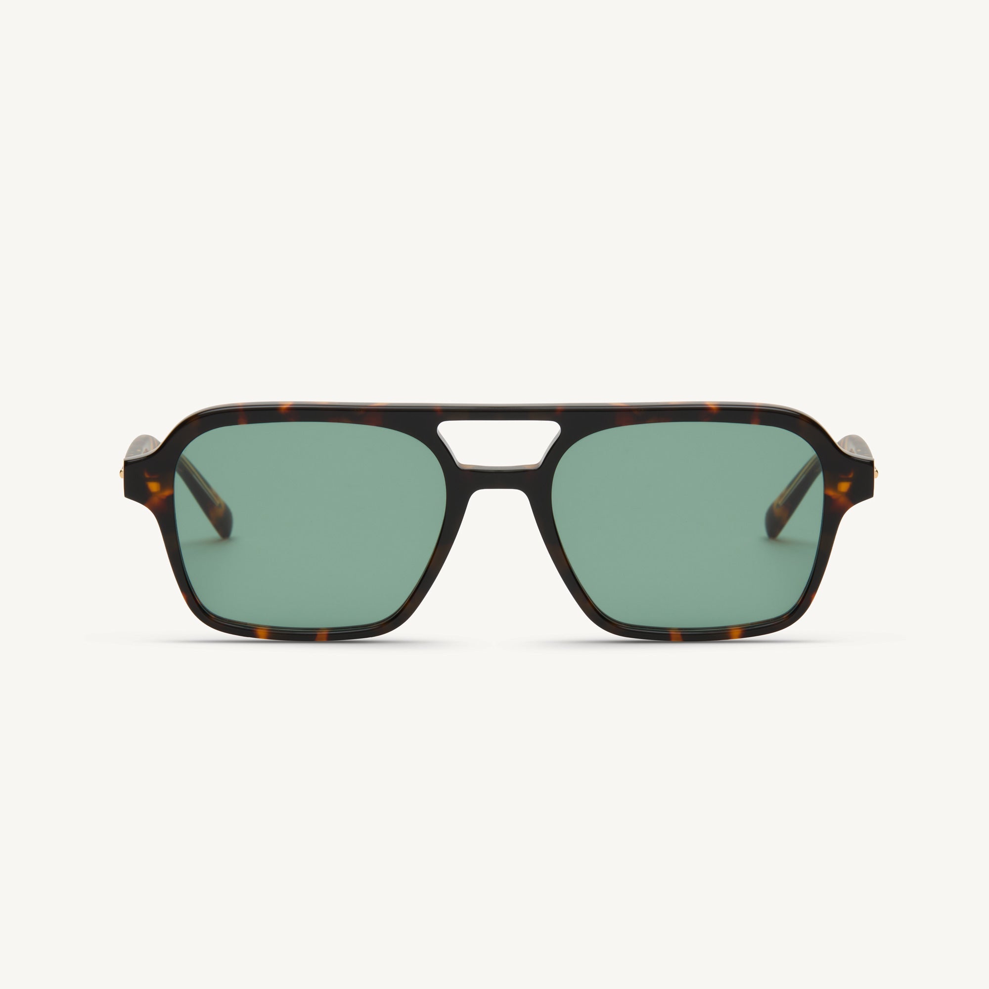 Waxy - Tortoise - 51 Light Green Gradient